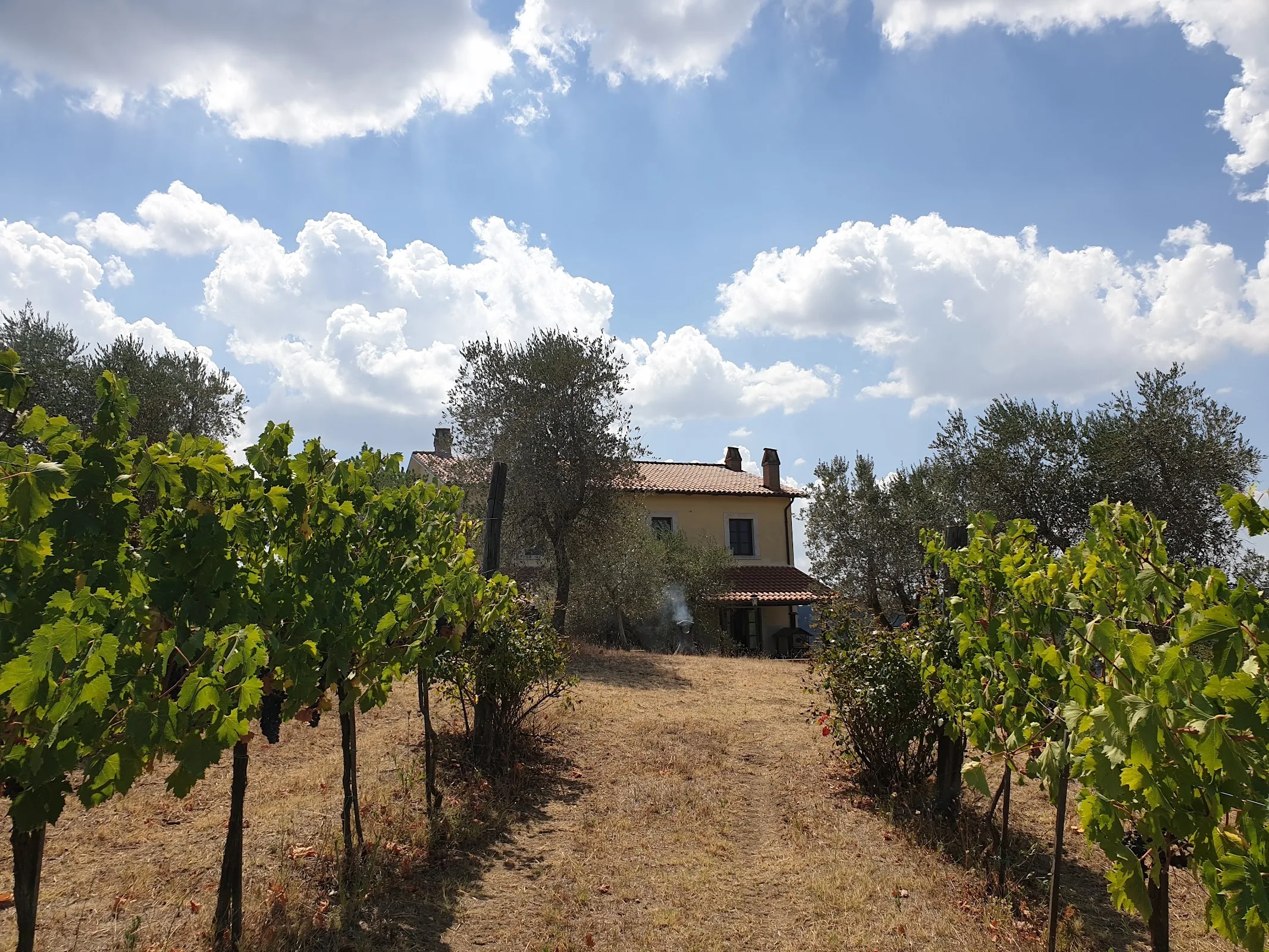 Agriturismo Il Poggio Dell'Artilla photo 6