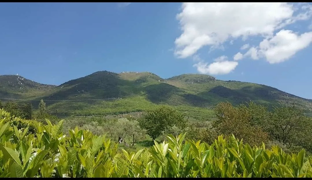 Agriturismo Eirene photo 3