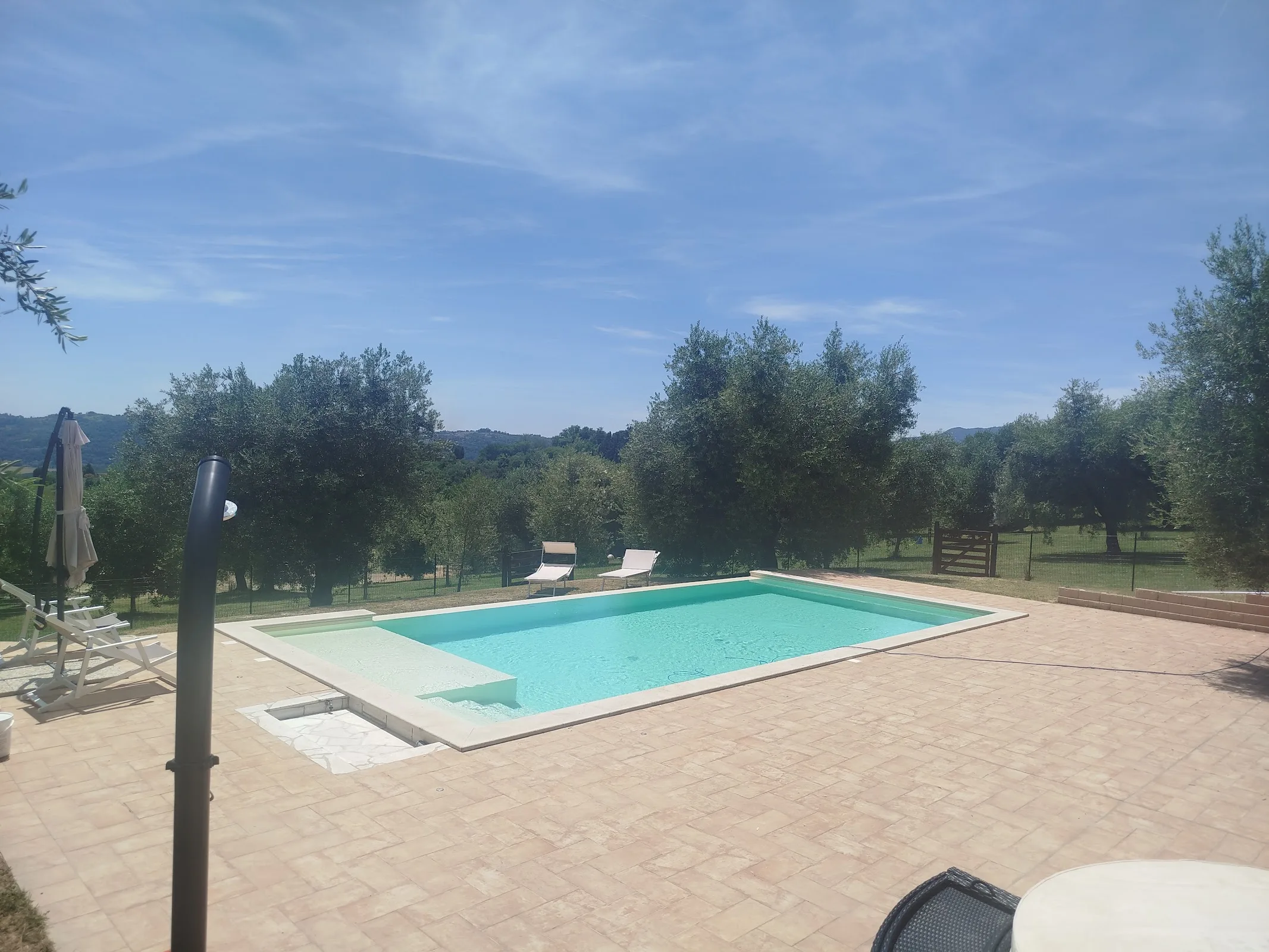 Agriturismo la collina degli ulivi photo 3