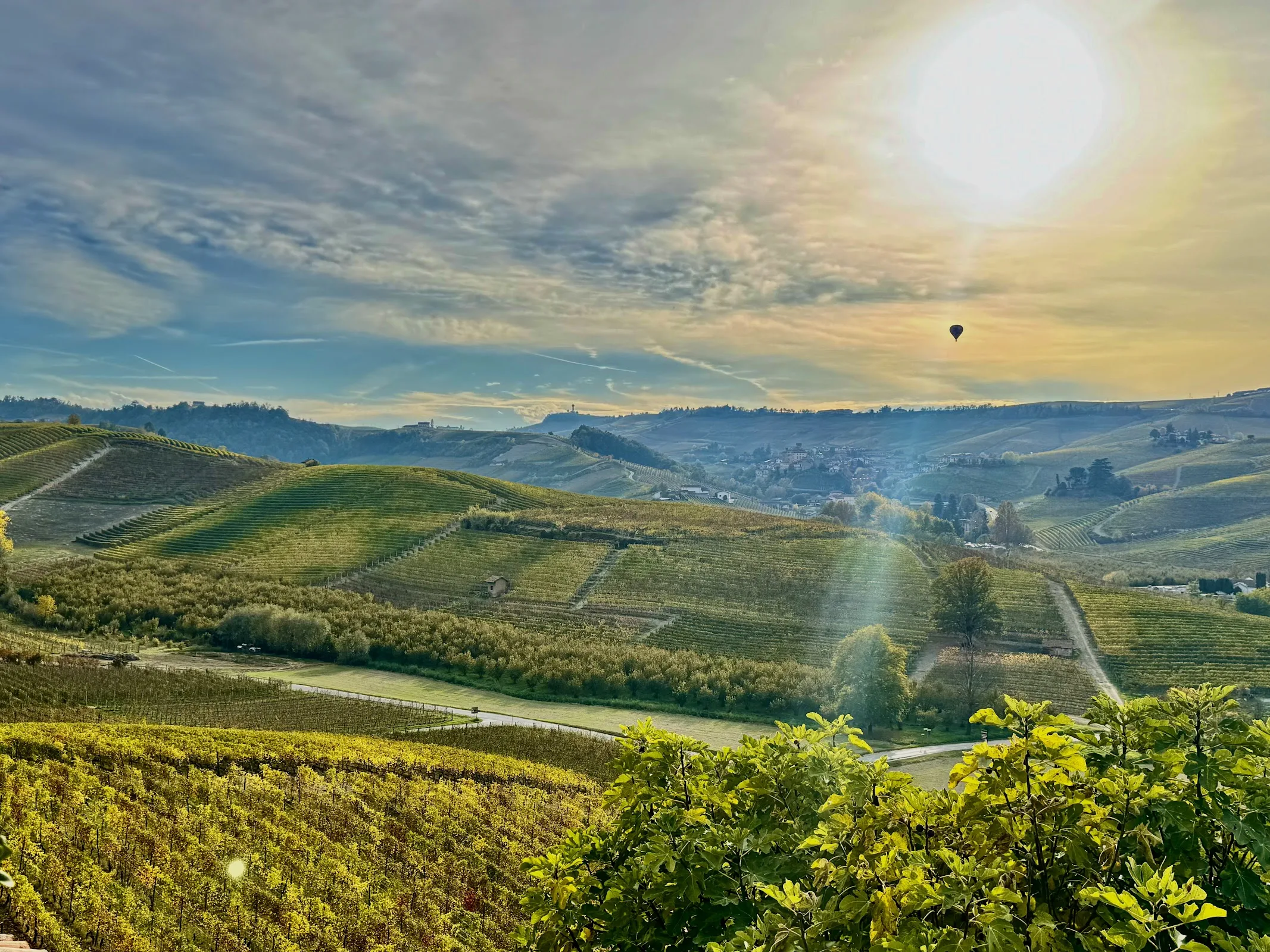 Cascina Pugnane Wine Resort photo 4
