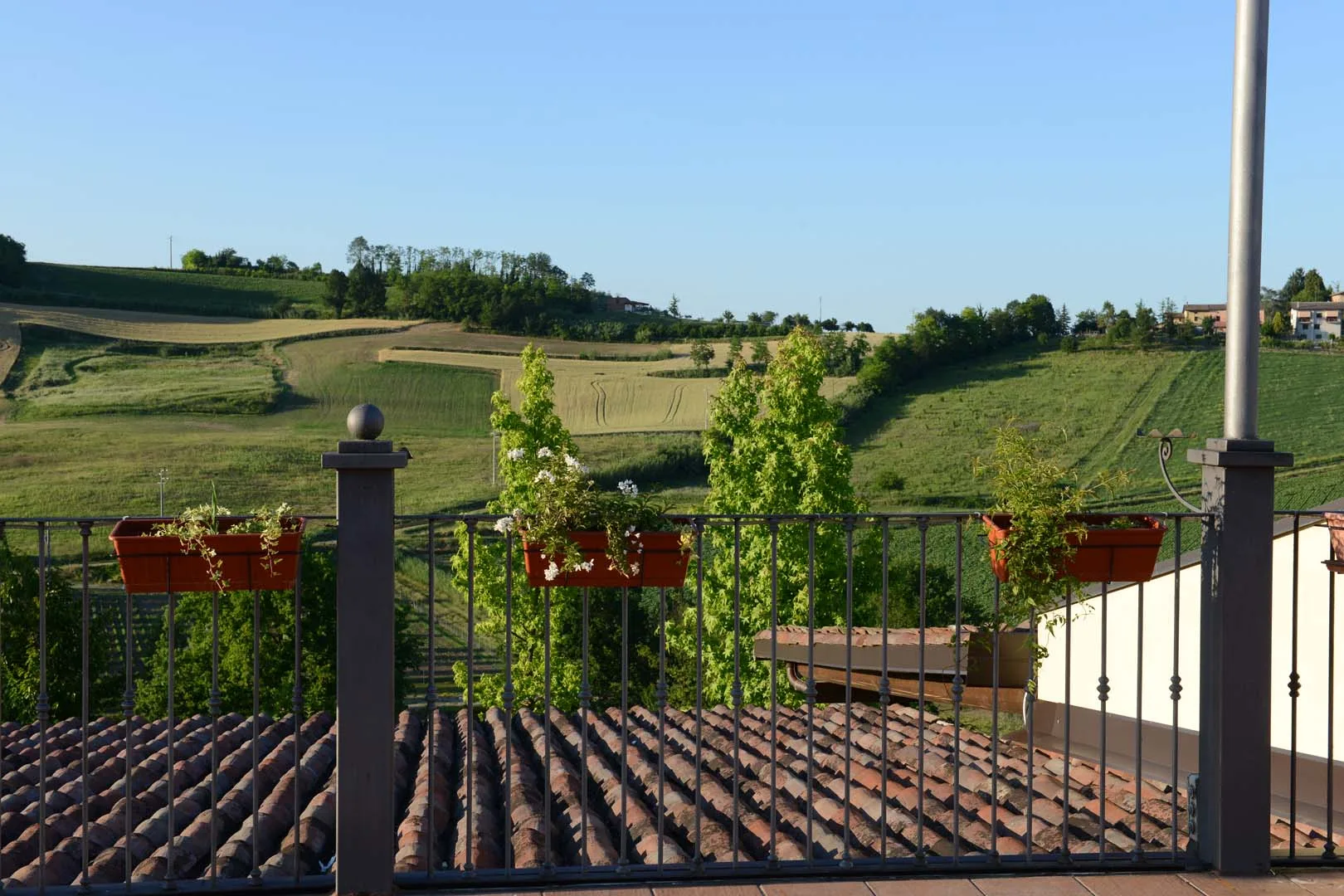 Monferrato Resort photo 5