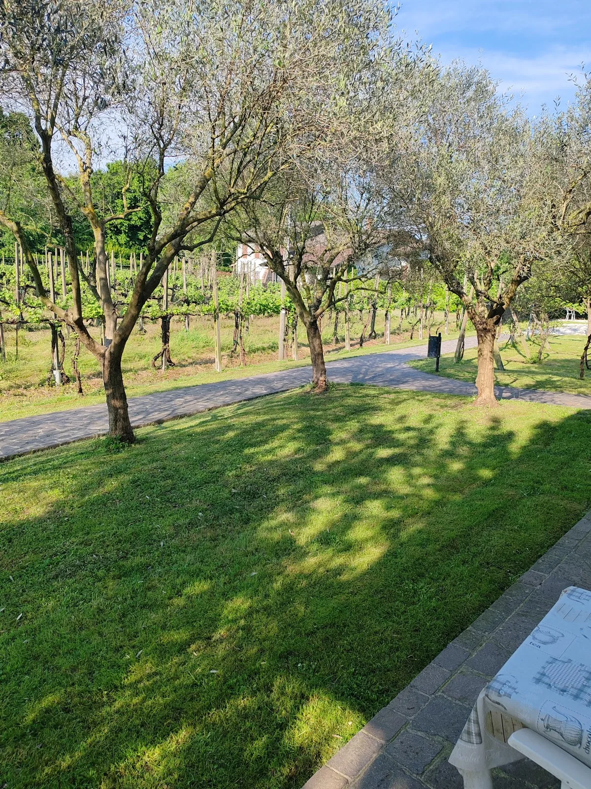 Agriturismo Monteortone photo 5