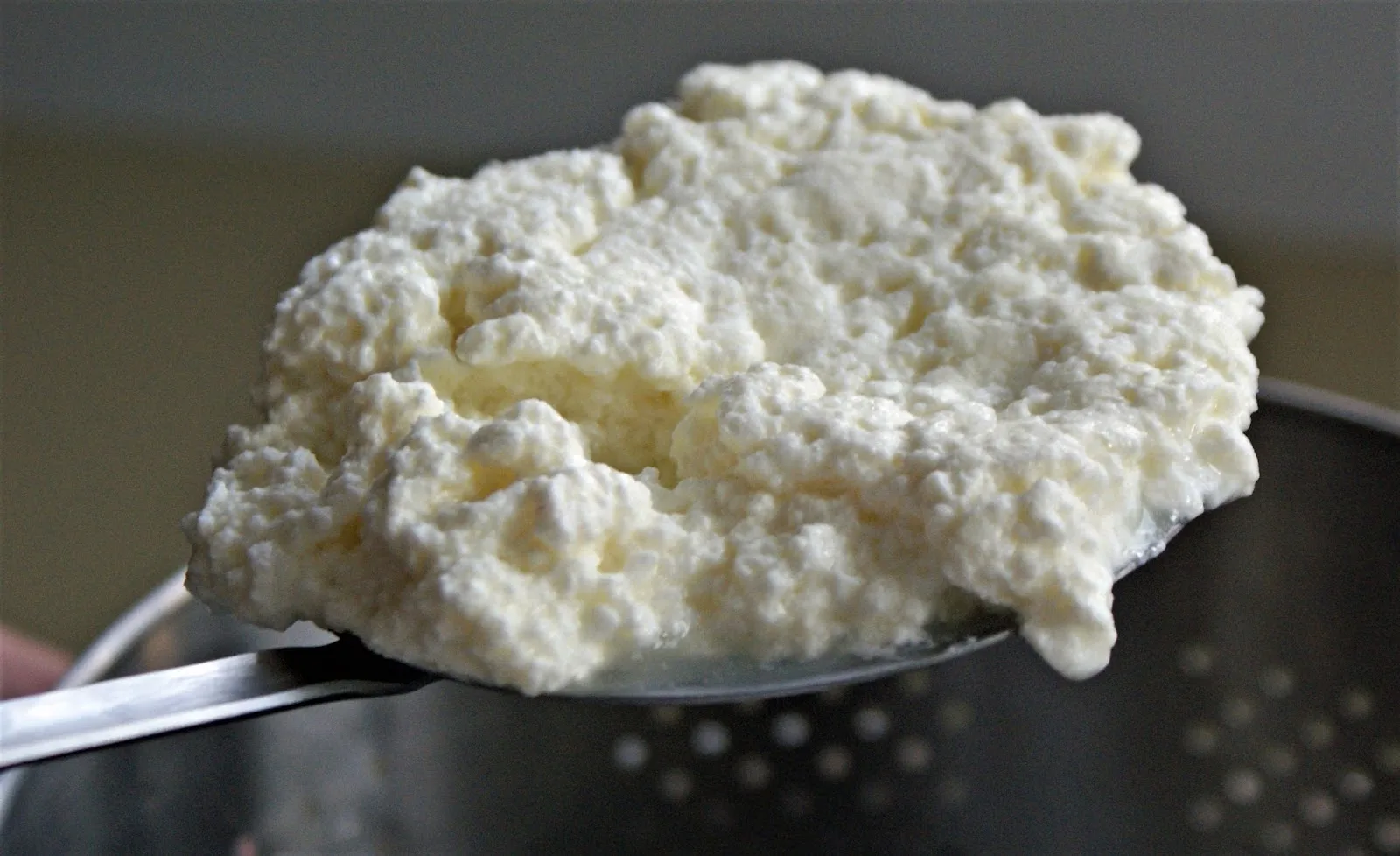 Radici Irpine photo 3