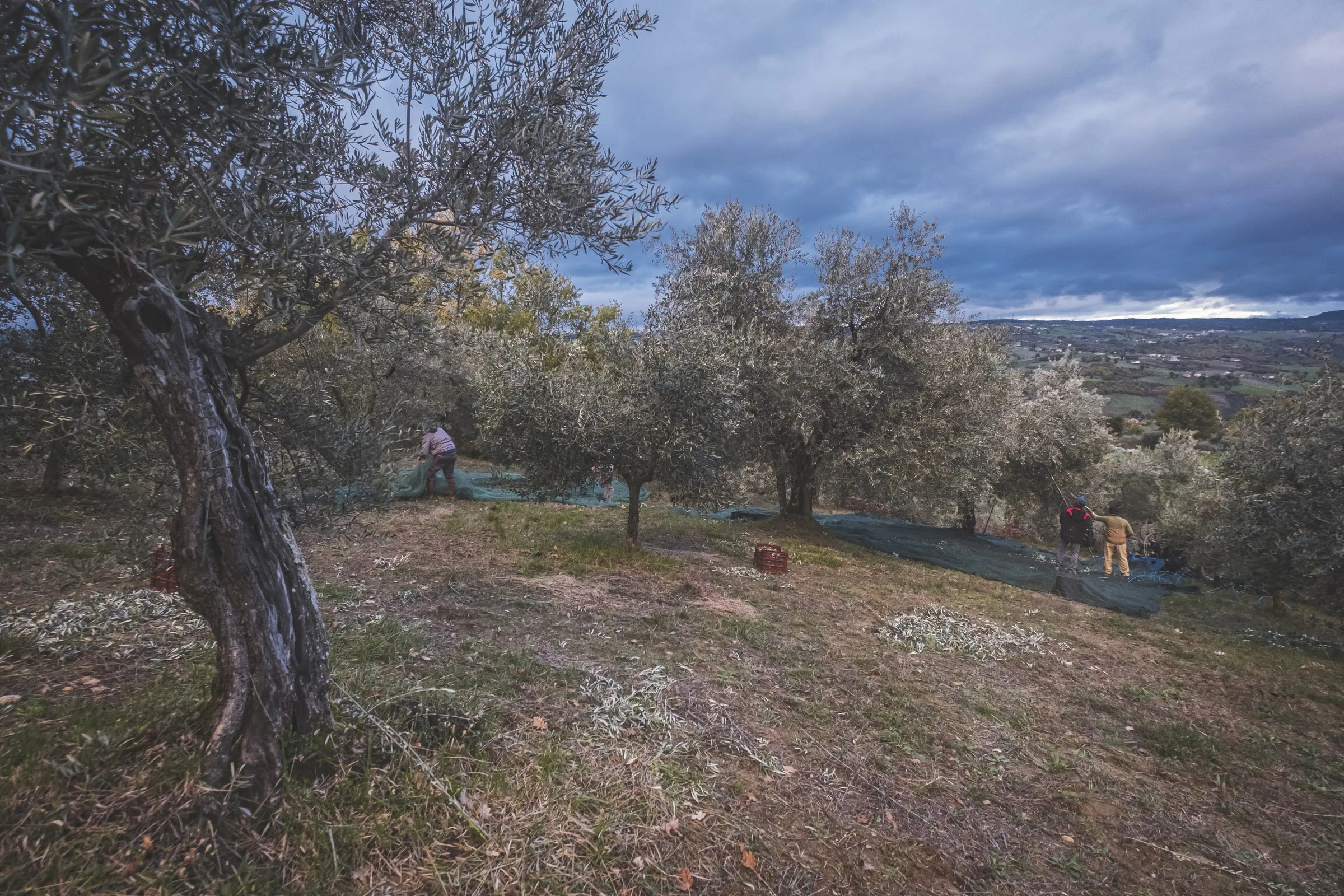Agriturismo Bellofatto photo 6