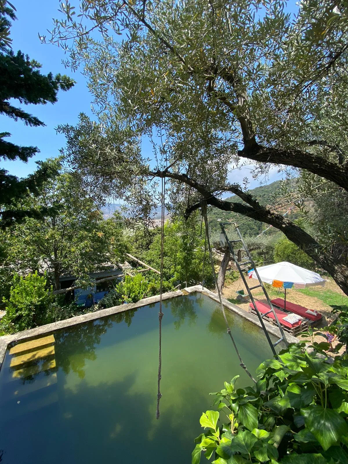 V.T. Accommodation Rural El Brazal photo 6