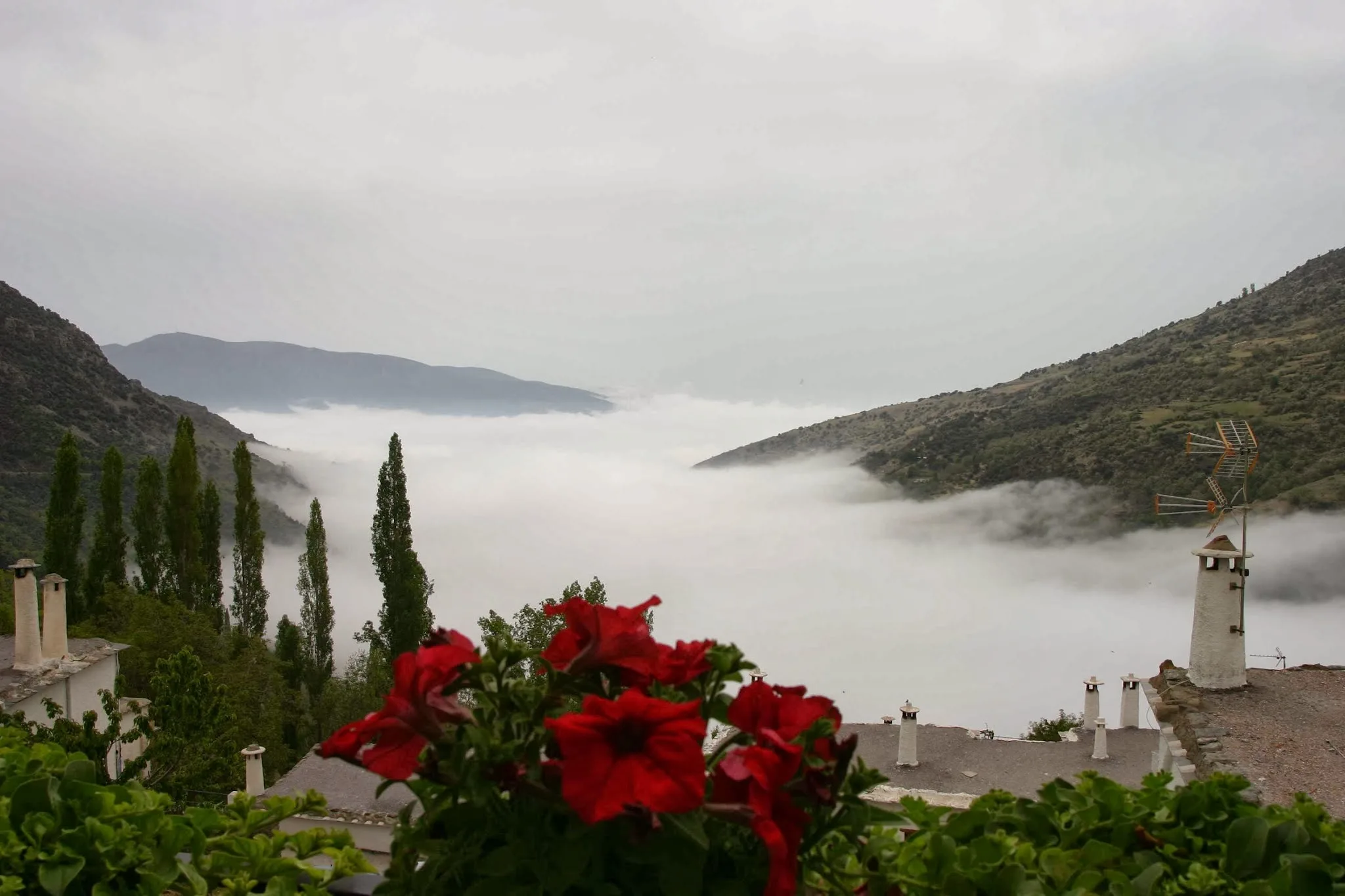 Hostal Rural Las Terrazas de la Alpujarra photo 4