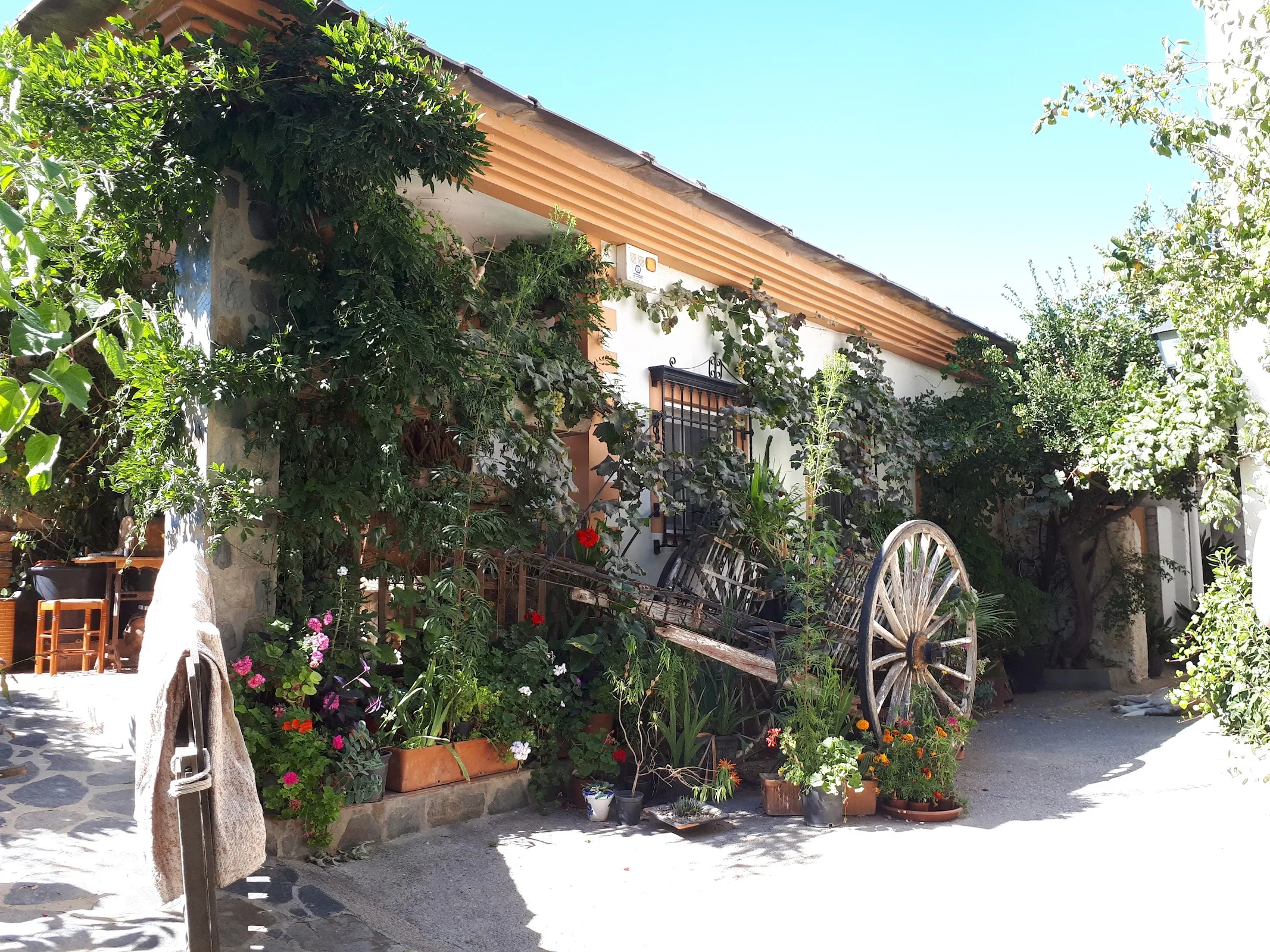 Cortijo Casería del Mercado.Finca ecológica con alojamiento rural. photo 2