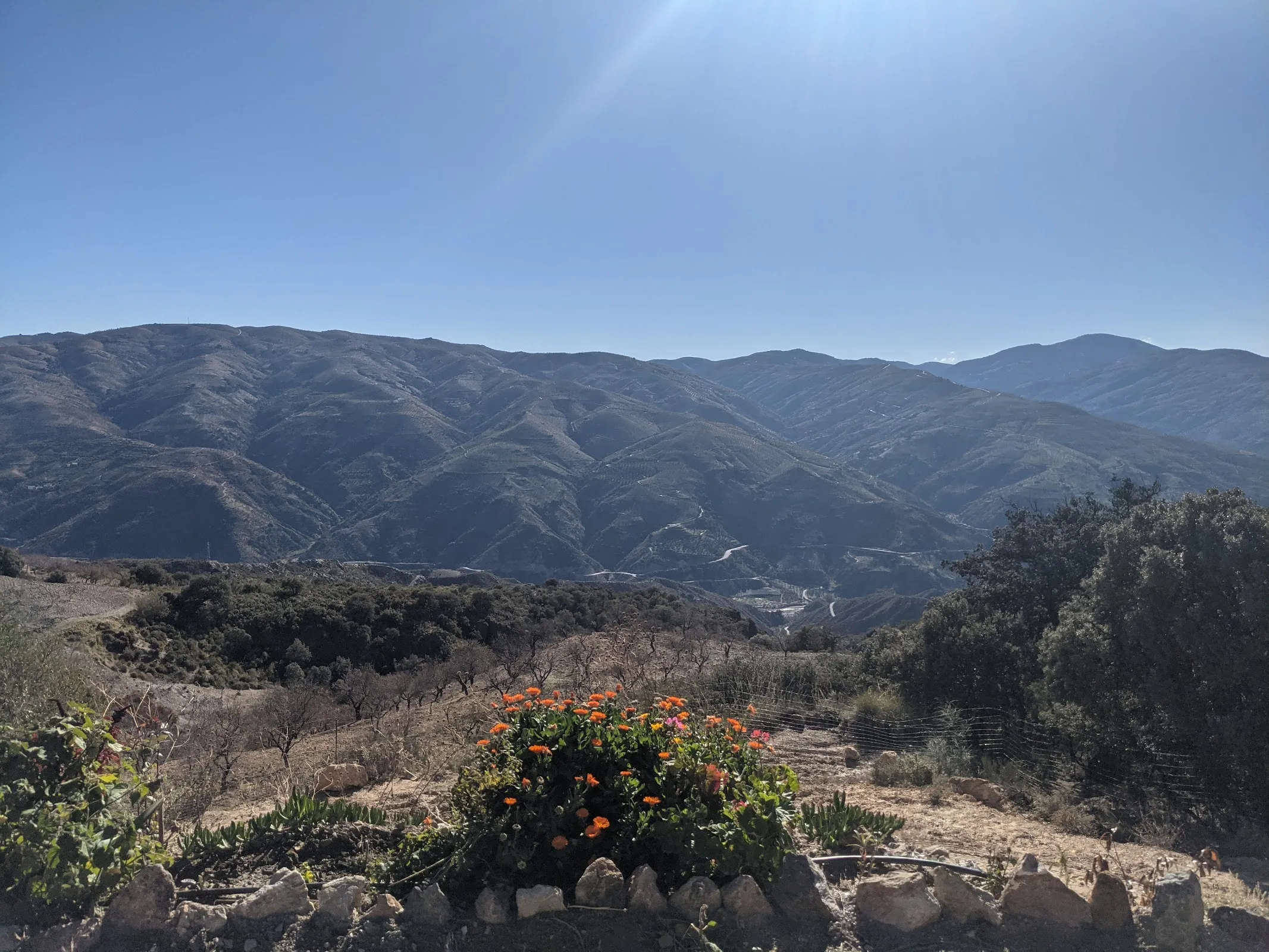 Cortijo Casería del Mercado.Finca ecológica con alojamiento rural. photo 3