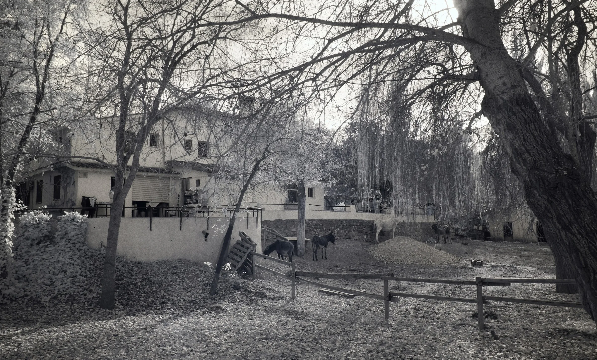 HUERTA DEL CAÑAMARES, Ecoturismo y Educación Ambiental en la Sierra de Cazorla. Aula de Naturaleza photo 4