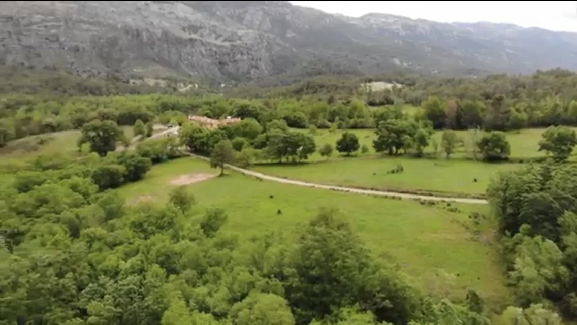 Fuente del Ciervo photo 6