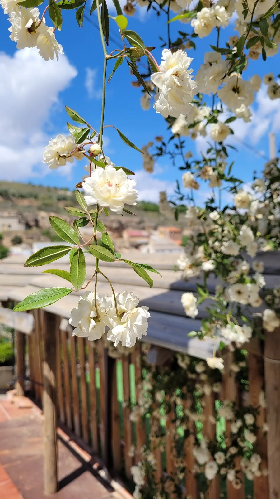 Alojamiento Andaluz - Casas Rurales Cazorla photo 6