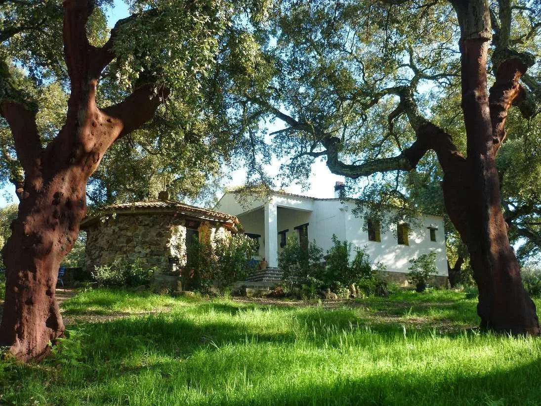 Bed El Chaparral de Aracena photo 4