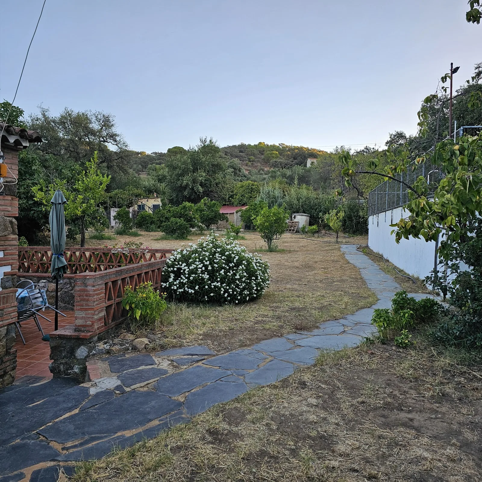 La casita del abuelo photo 4