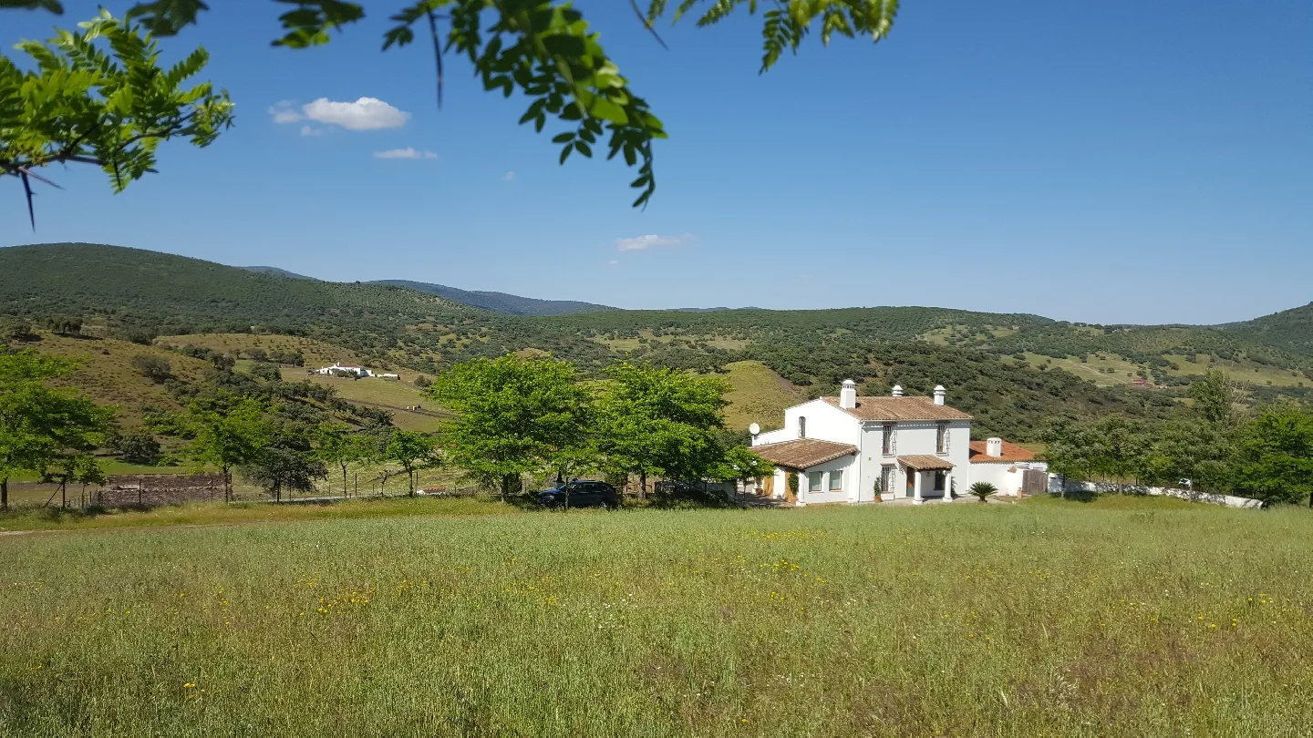 Bed "CORTIJO LOS BOGONALES" photo 5