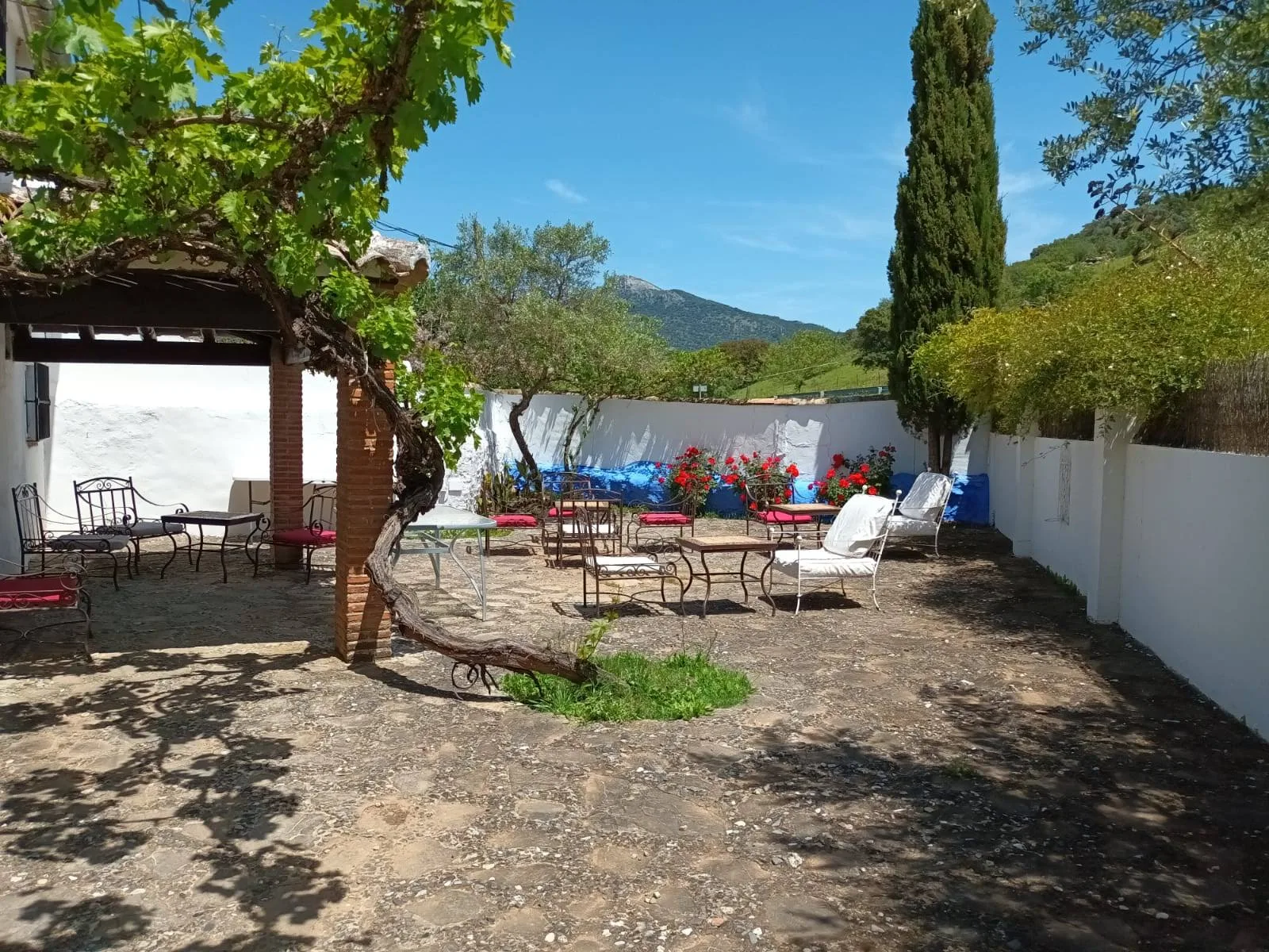 Casa Rural en Grazalema HUERTA LA TERRONA photo 5