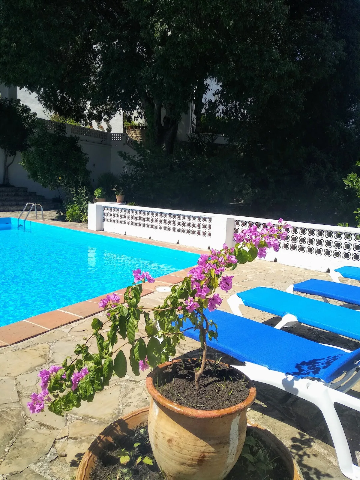 Location de house with pool à Grazalema — photo 2