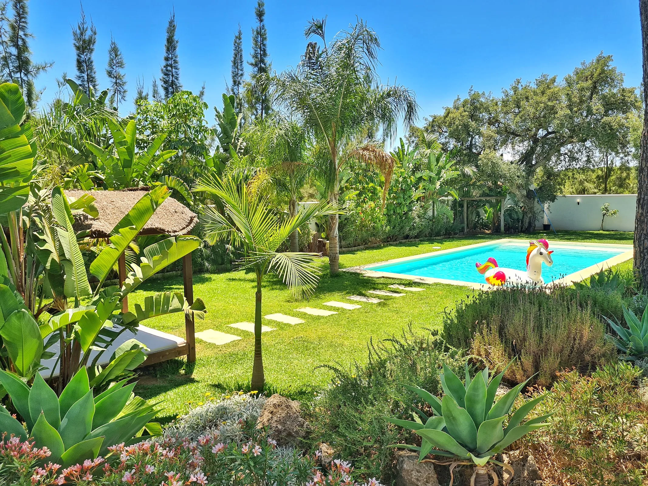 Villa Oasis Rural photo 3