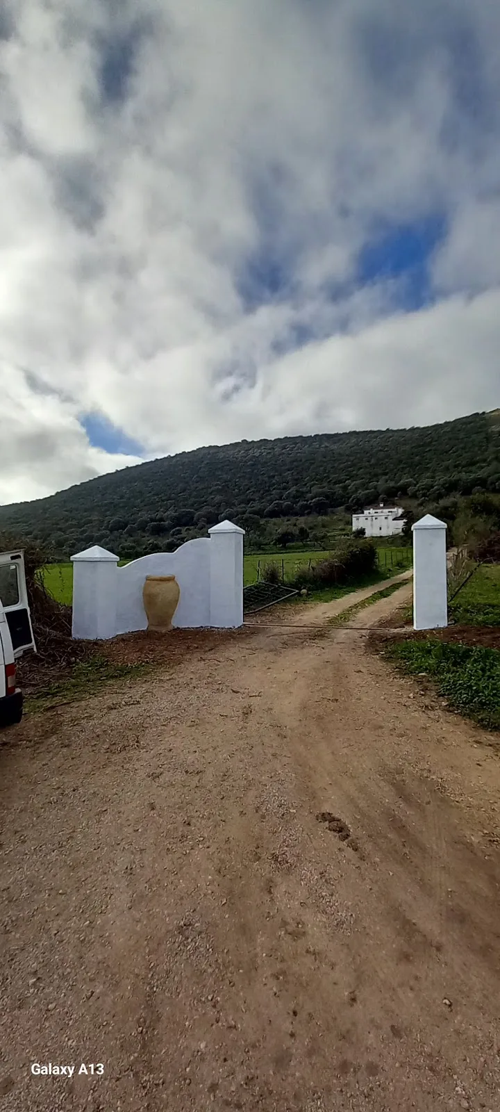 Cortijo de Liche photo 6