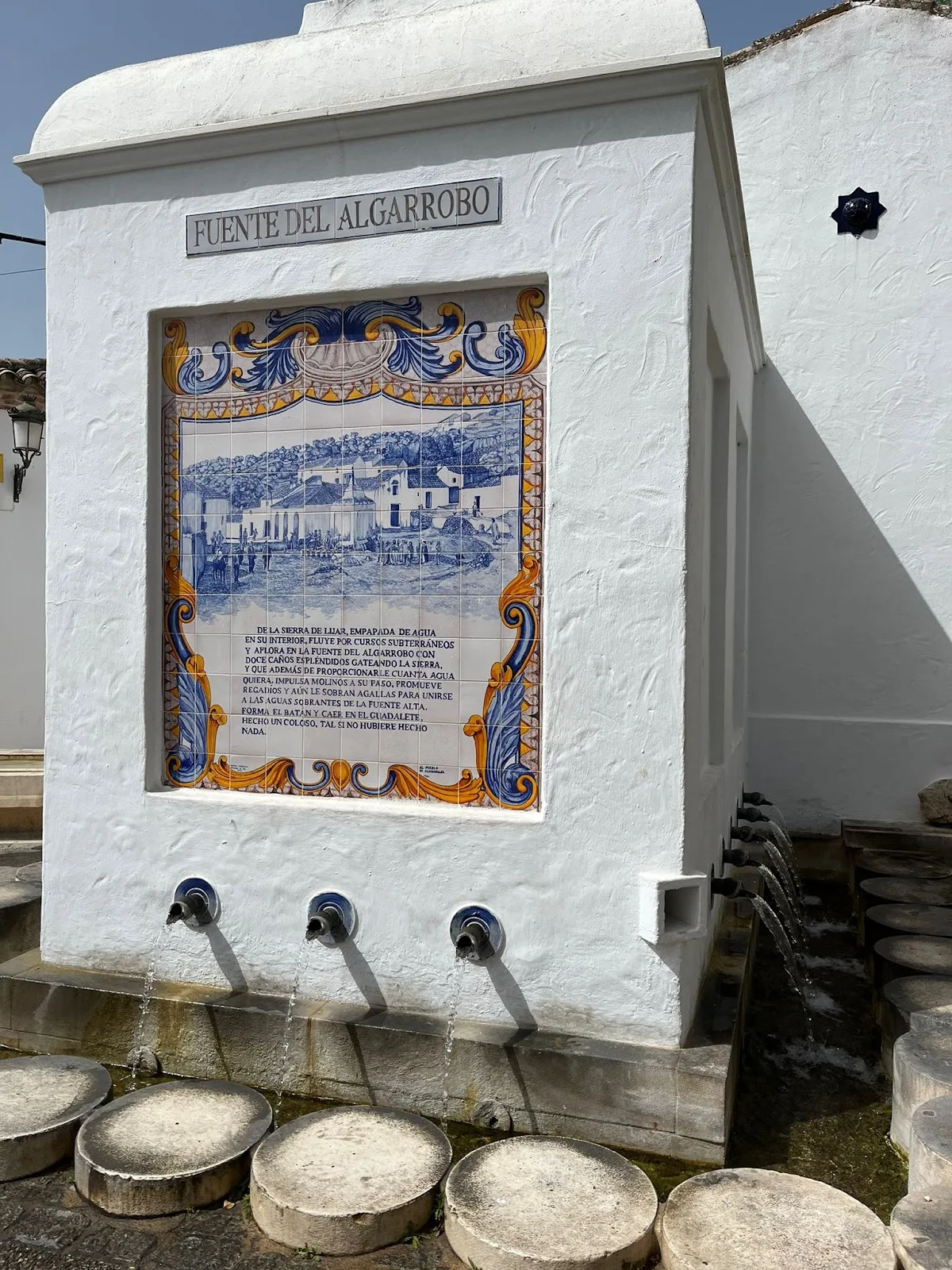 El Huerto de Ramón photo 5