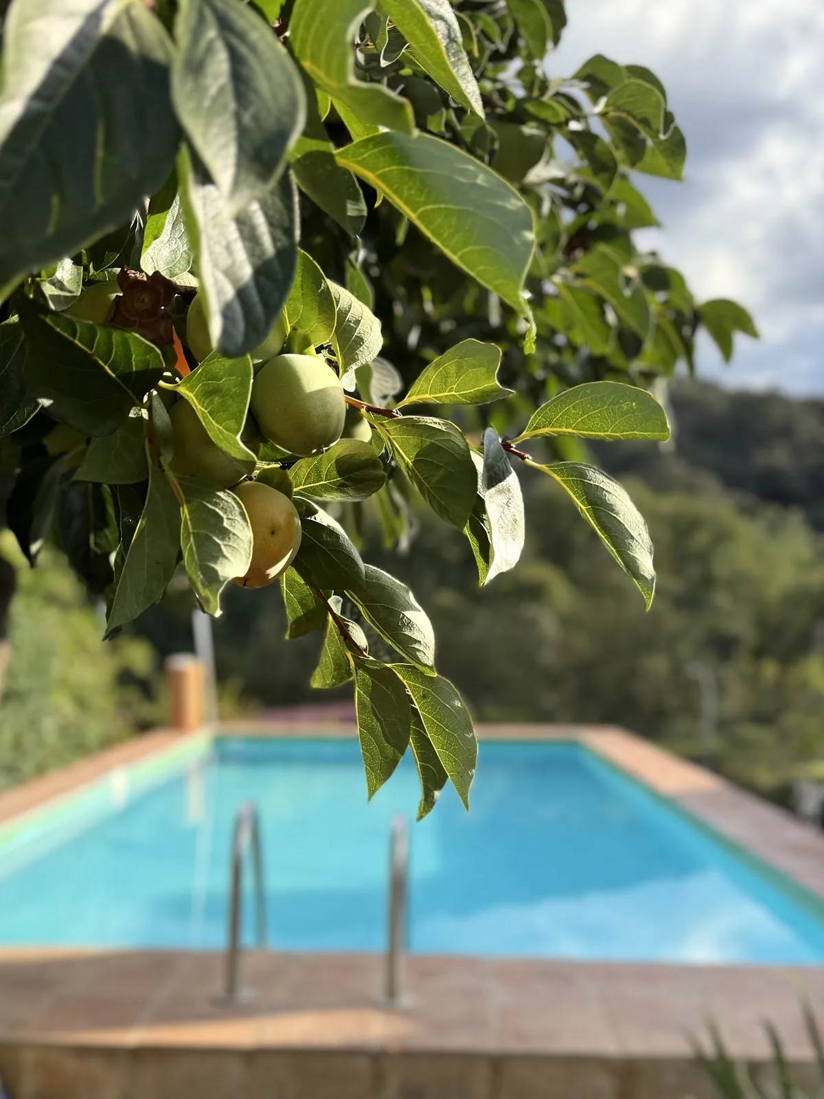 Casa Rural Orilla del Hueznar photo 3