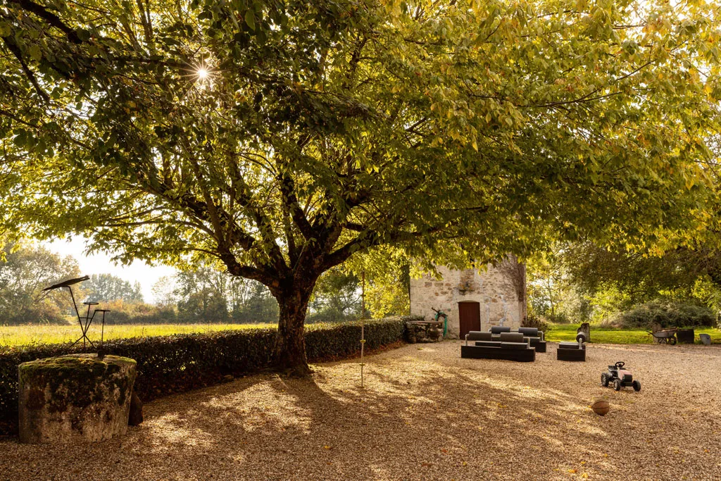 Chartreuse des Moulins photo 6