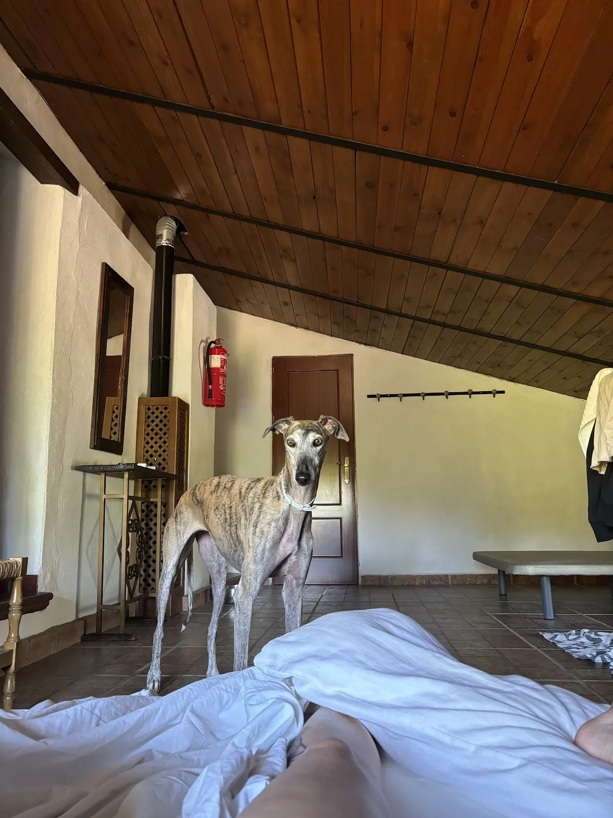 Alojamiento Rural "LAS CORBACHAS" photo 2