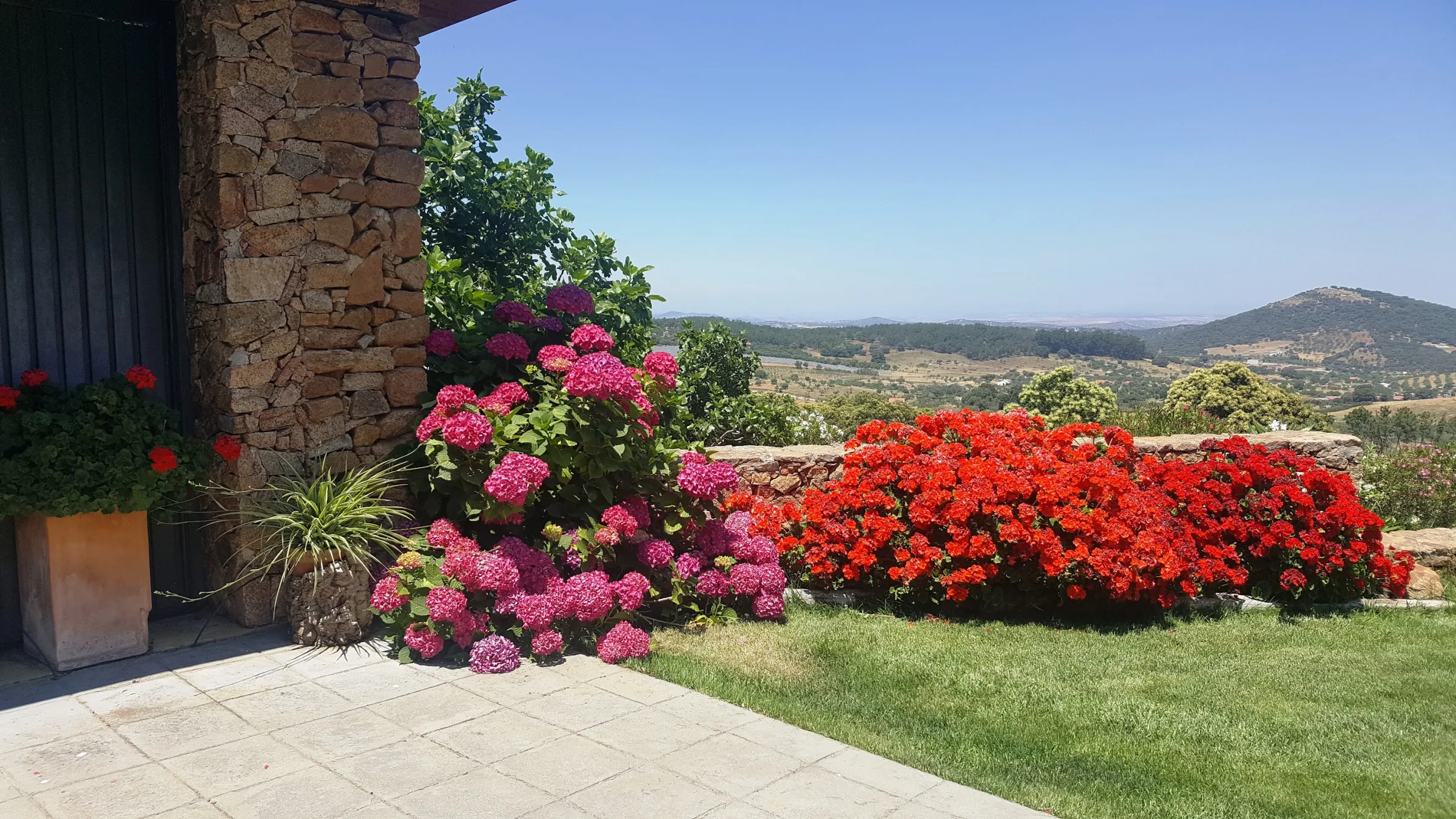 Casa Rural Sierra de Aguafría. Finca El Robledillo photo 5
