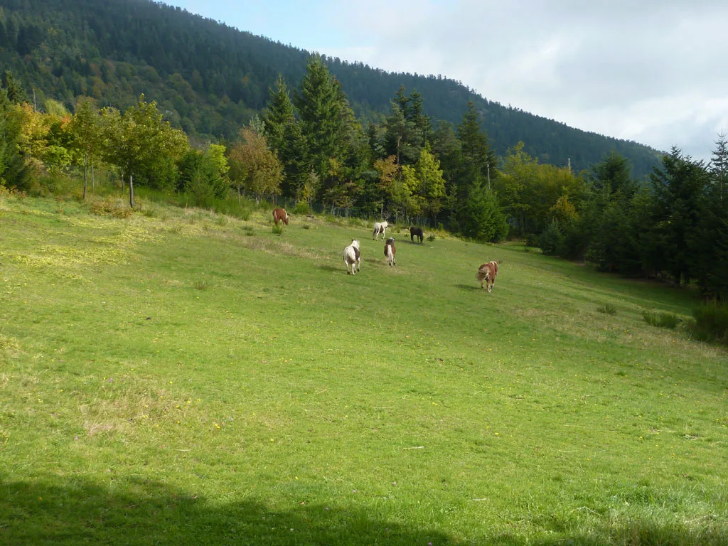 Domaine de Fontcouverte photo 3