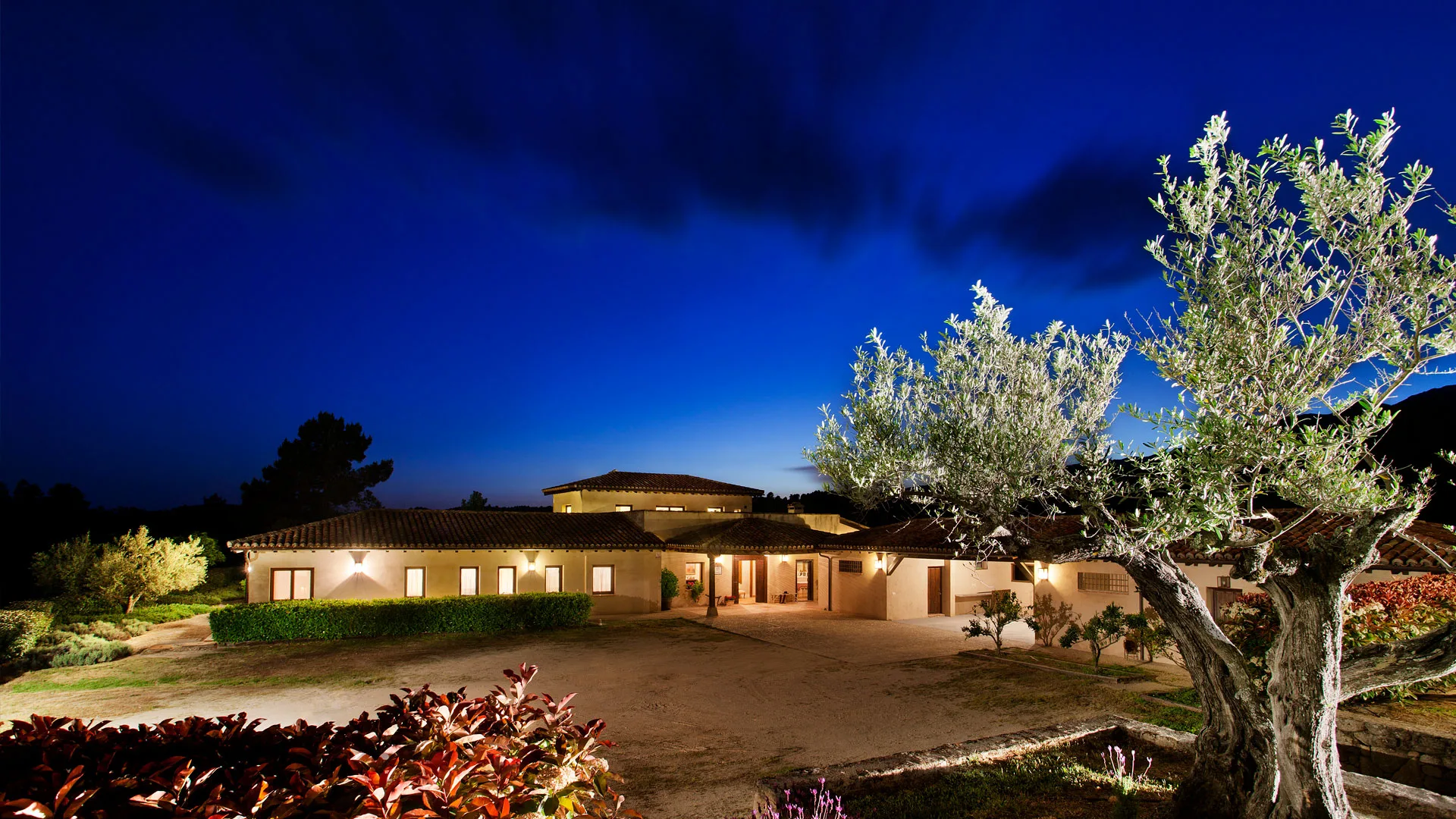 Finca ZARAGATE photo 5
