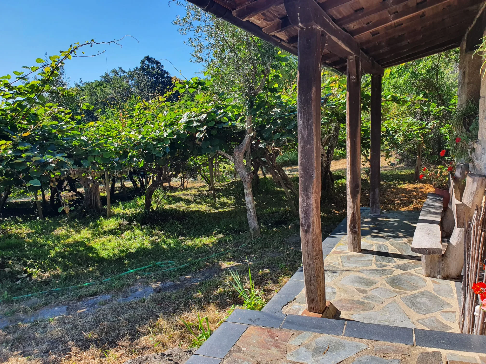 Casa Rural el Pajar photo 5