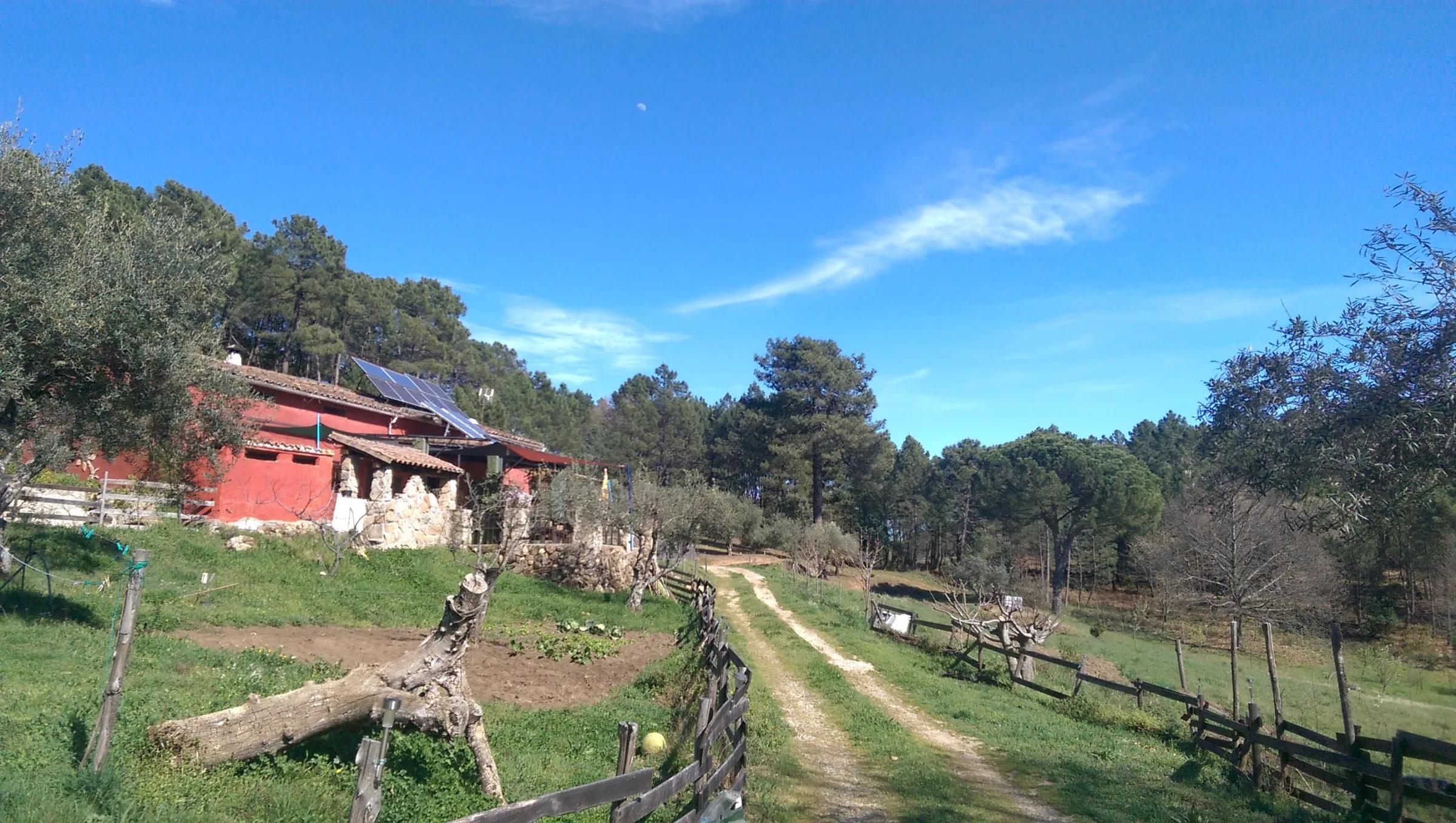 Casa Rural Las Gesillas photo 4