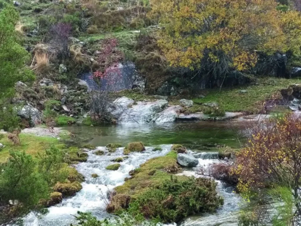 Casa Rural 7 Pinos de Gredos photo 3