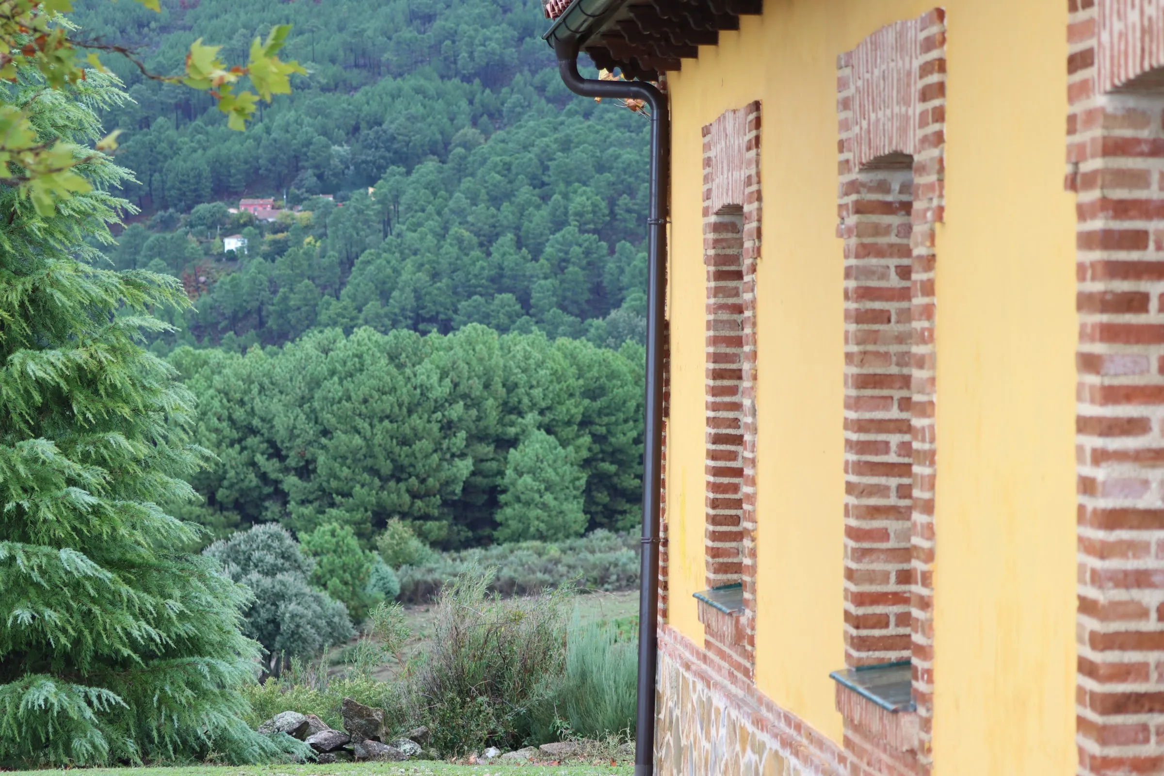 El Encuentro -Casa Rural- photo 5