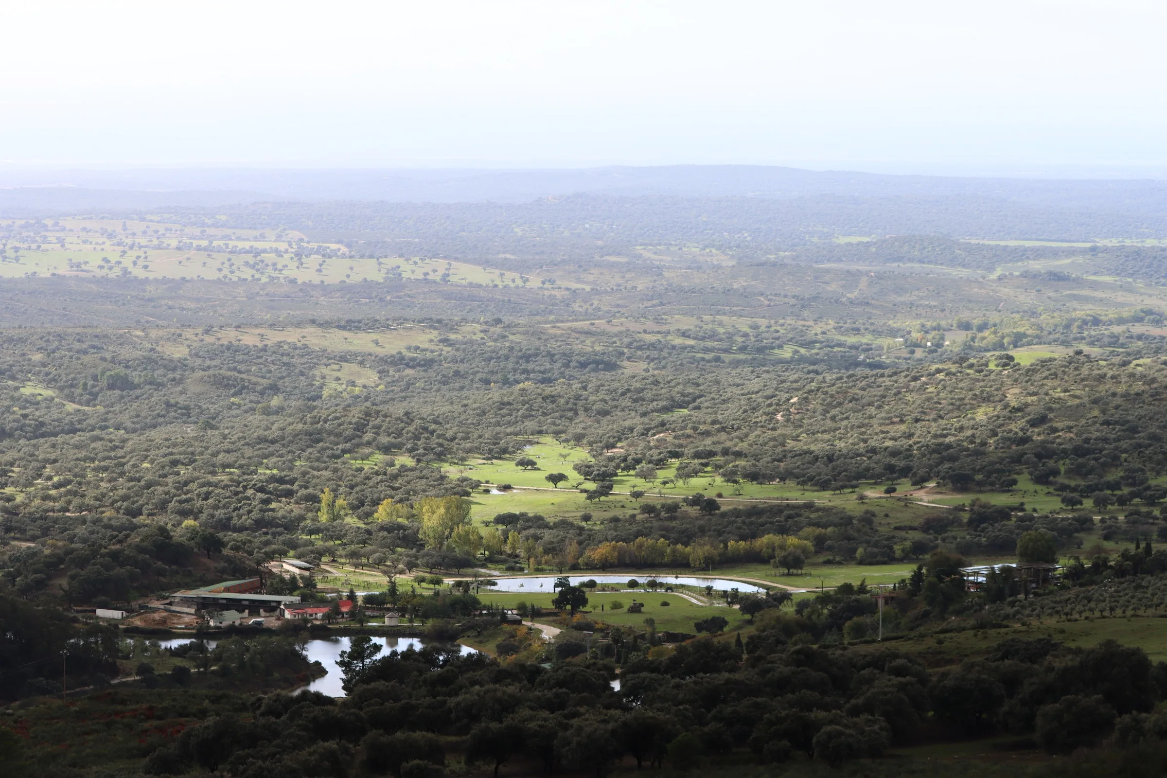 El Encuentro -Casa Rural- photo 6