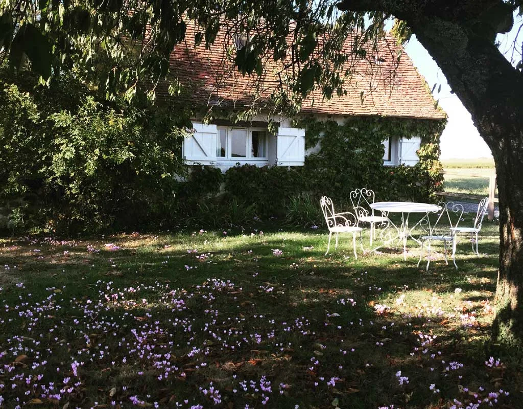 Le Clos de Limeray photo 2