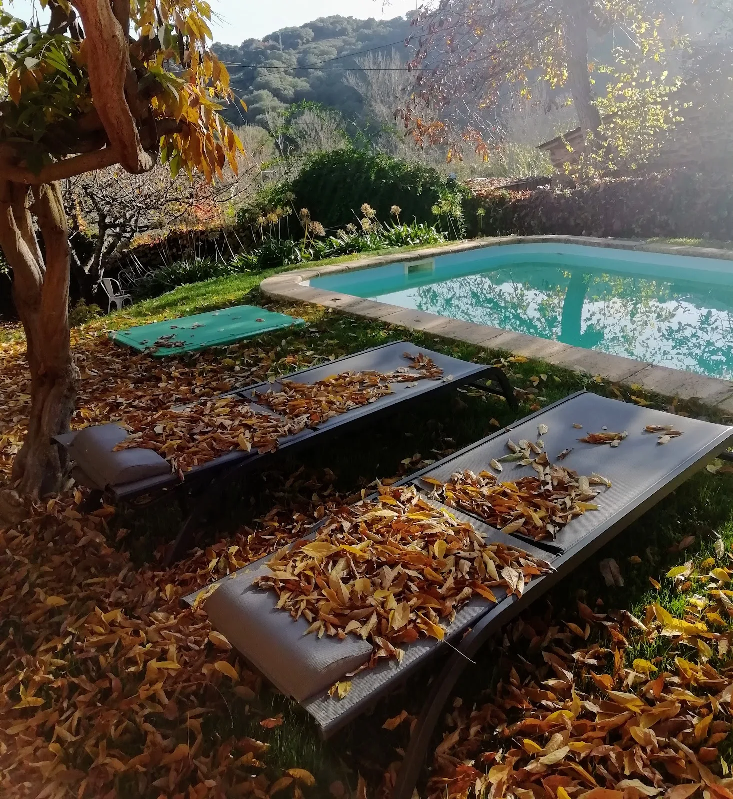 Casa Rural La Mallada photo 5