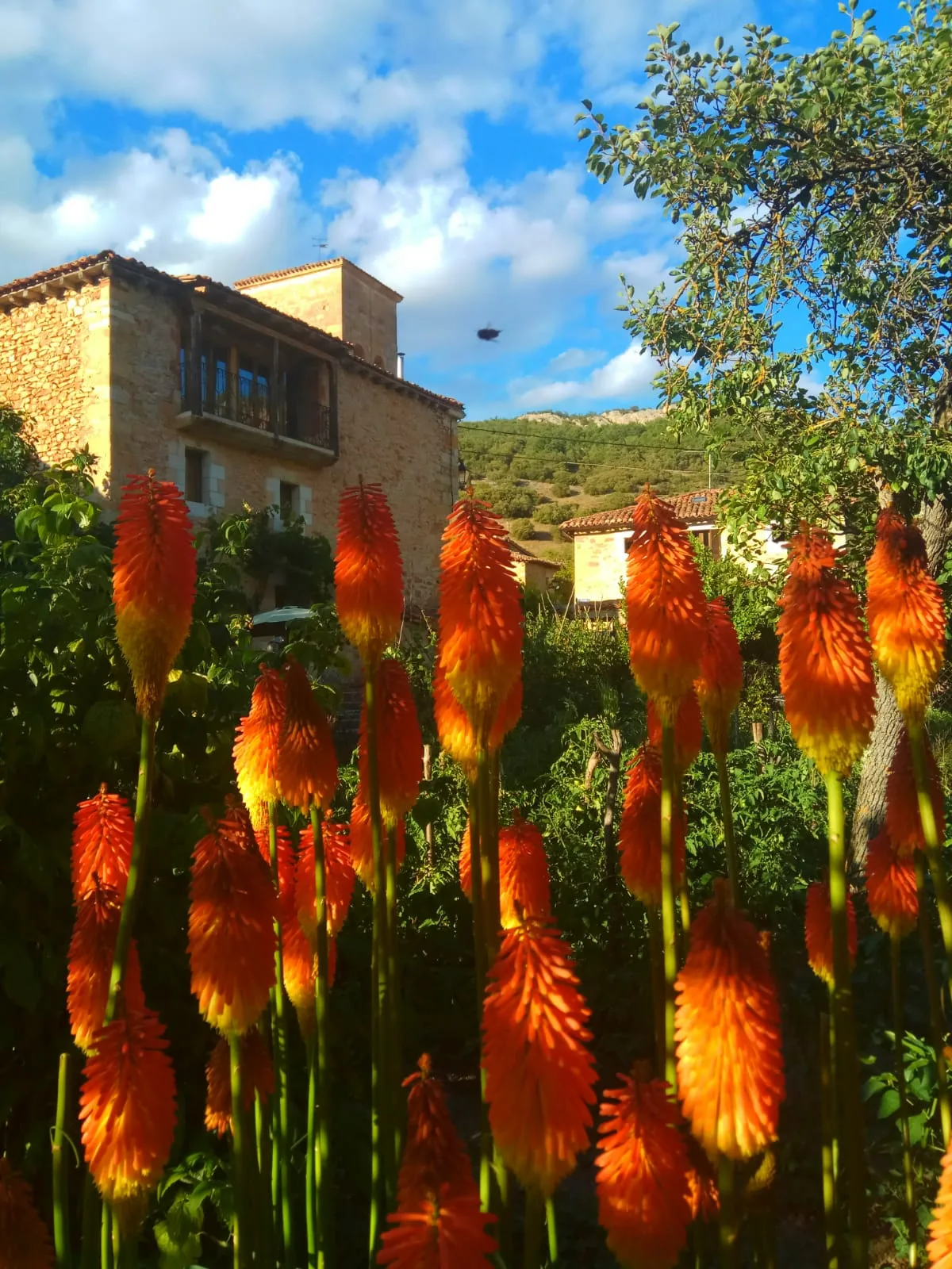 Casas rurales Dondevilla photo 6
