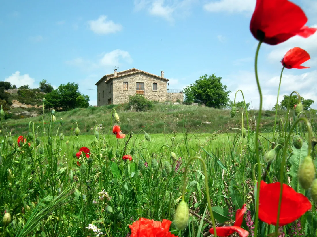 Casa rural Puigdesala photo 4