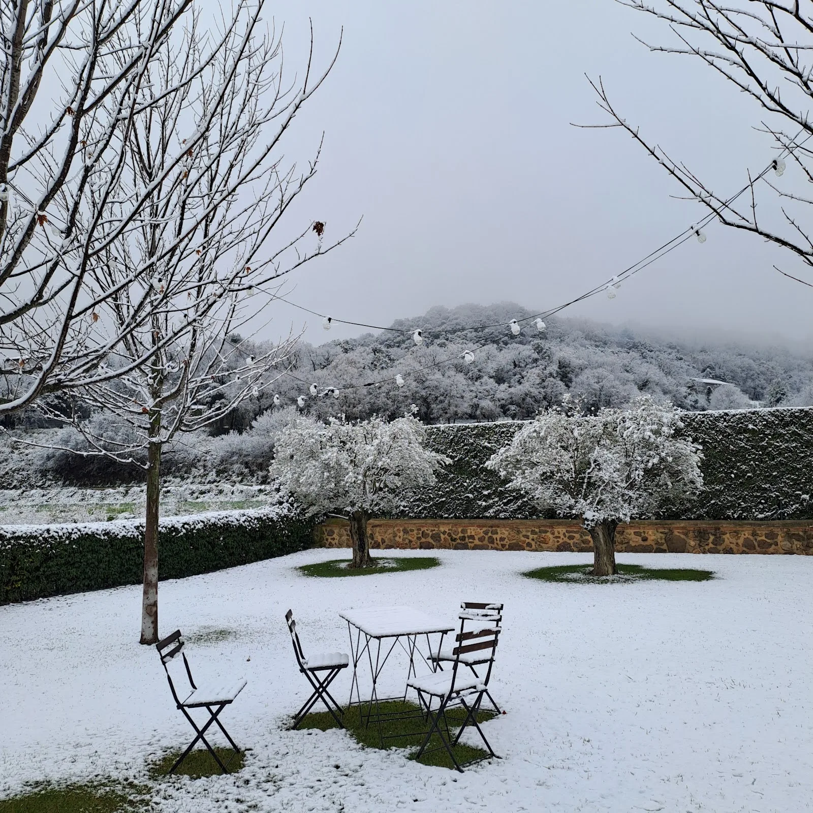 La Creu de la Pinya photo 5
