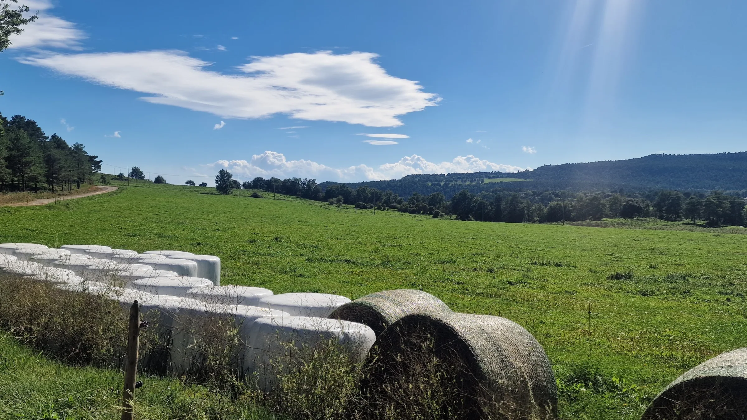 Complex Rural Can Caubet photo 6