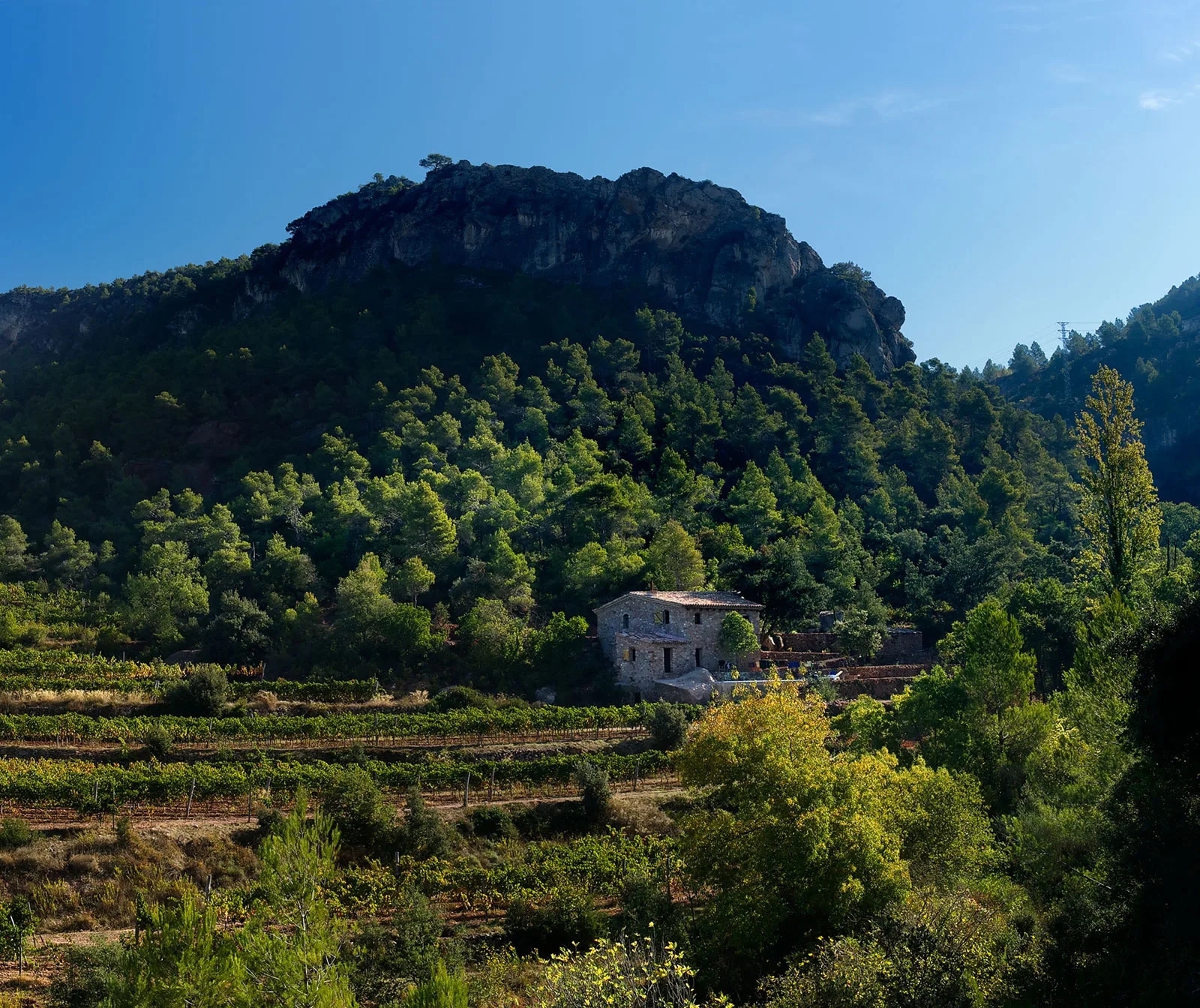 Finca Fontanals Enoturisme (Priorat) photo 5