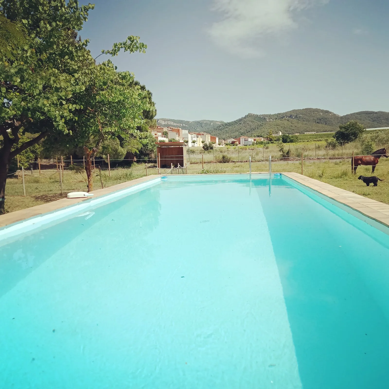 Casa rural les violetes photo 3