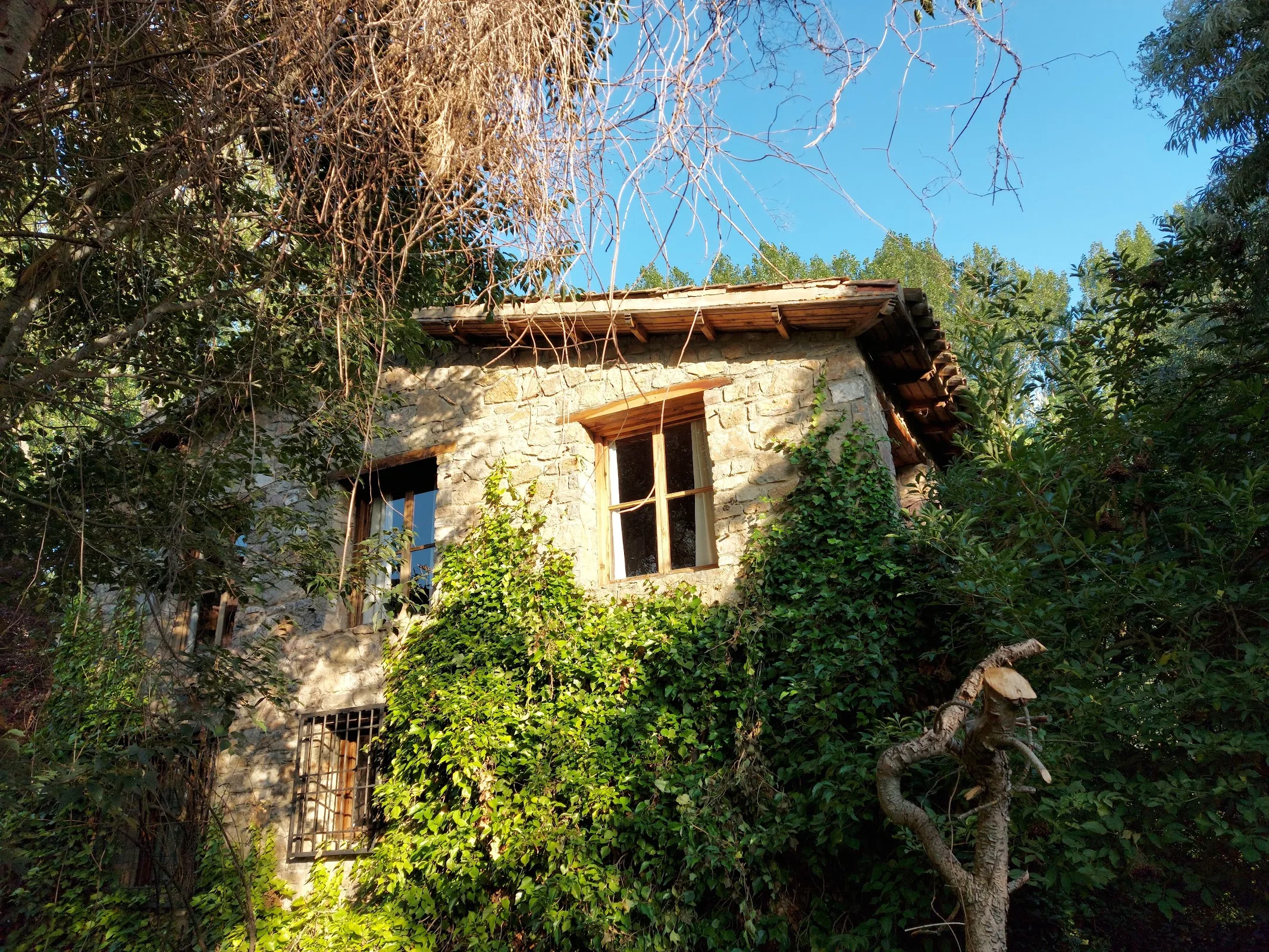 Casa Rural "Molino del Marqués" photo 4