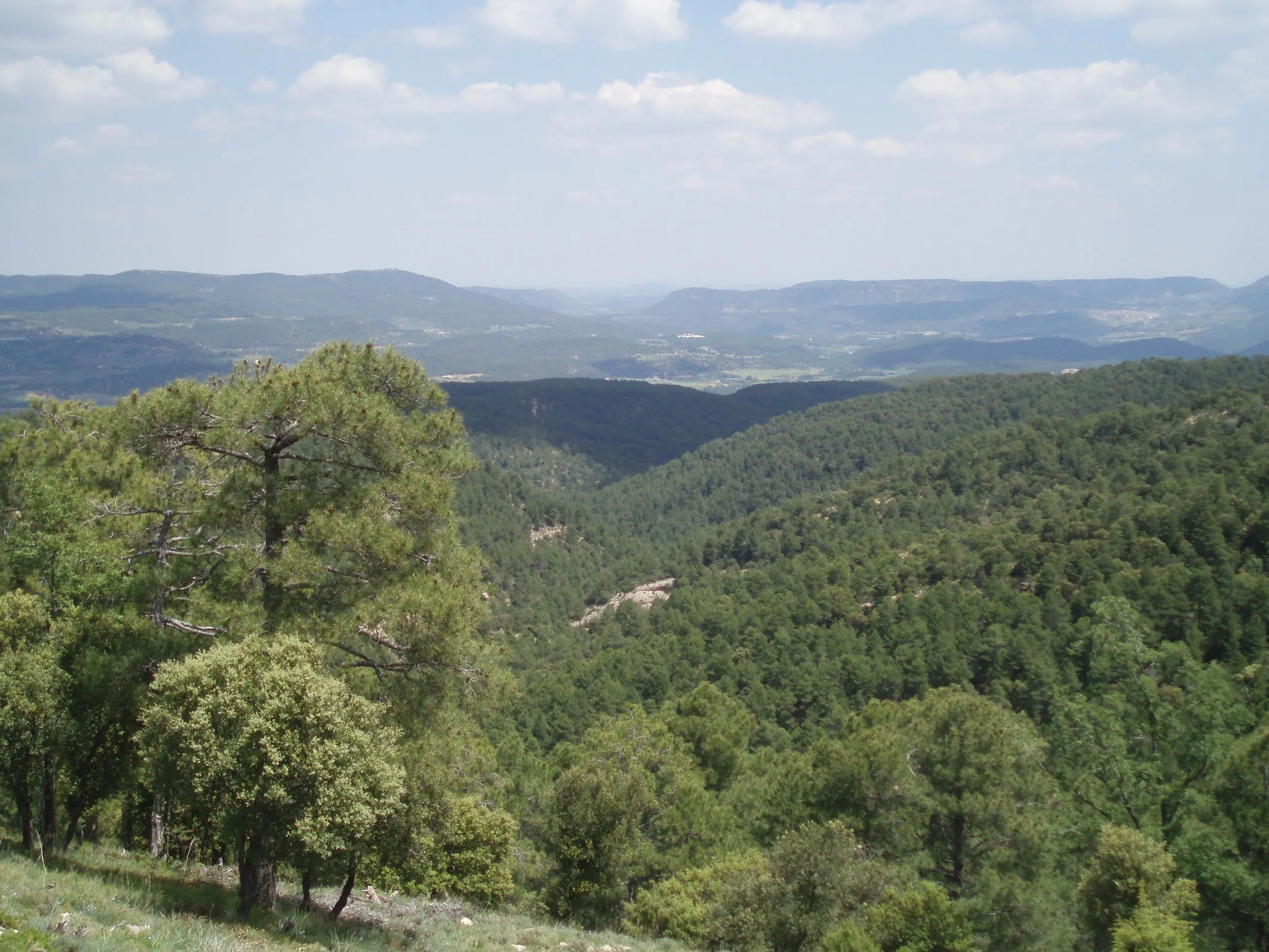 Masia de la Serra de la Cogulla photo 6