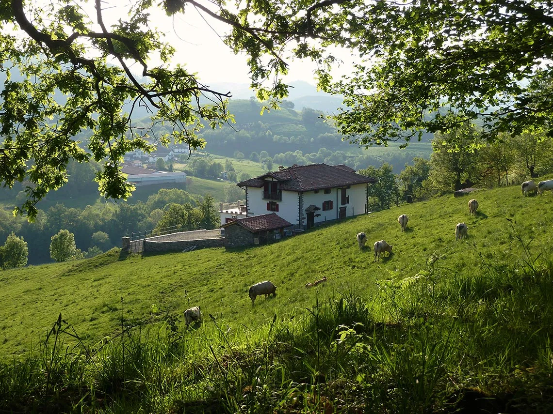 Casa rural Baztan - Gamiokoborda Landetxea photo 3