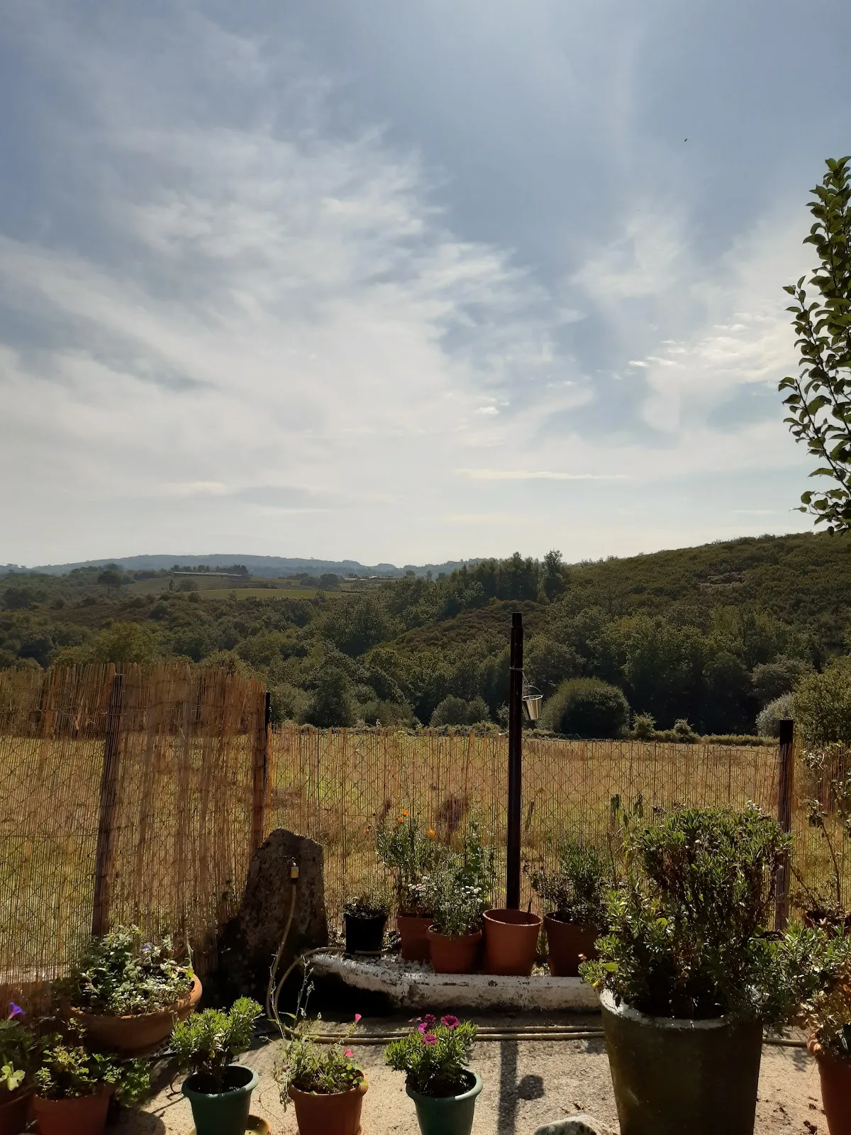 Casa rural BUXO . Ribeira Sacra photo 3