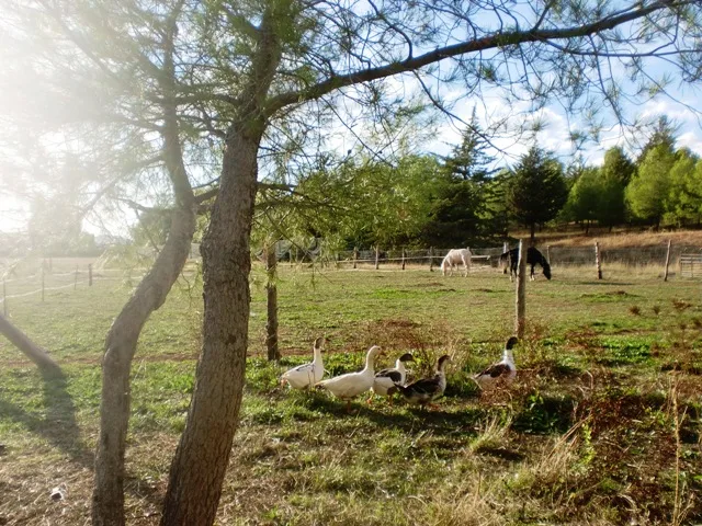 Casa Rural Atalaya – Alcaraz, Sierra de Alcaraz (Albacete) photo 5