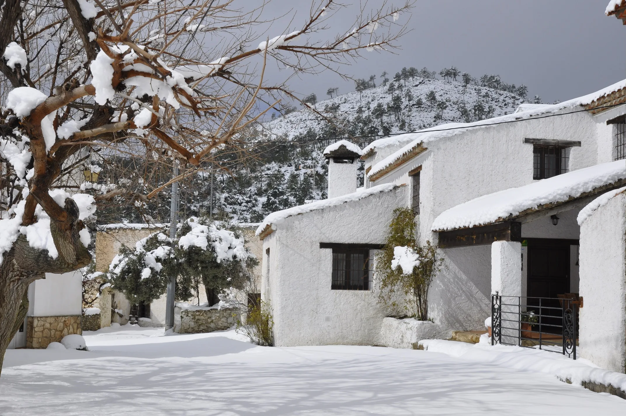 Casas Rurales Tío Frasquito y Cleto photo 6