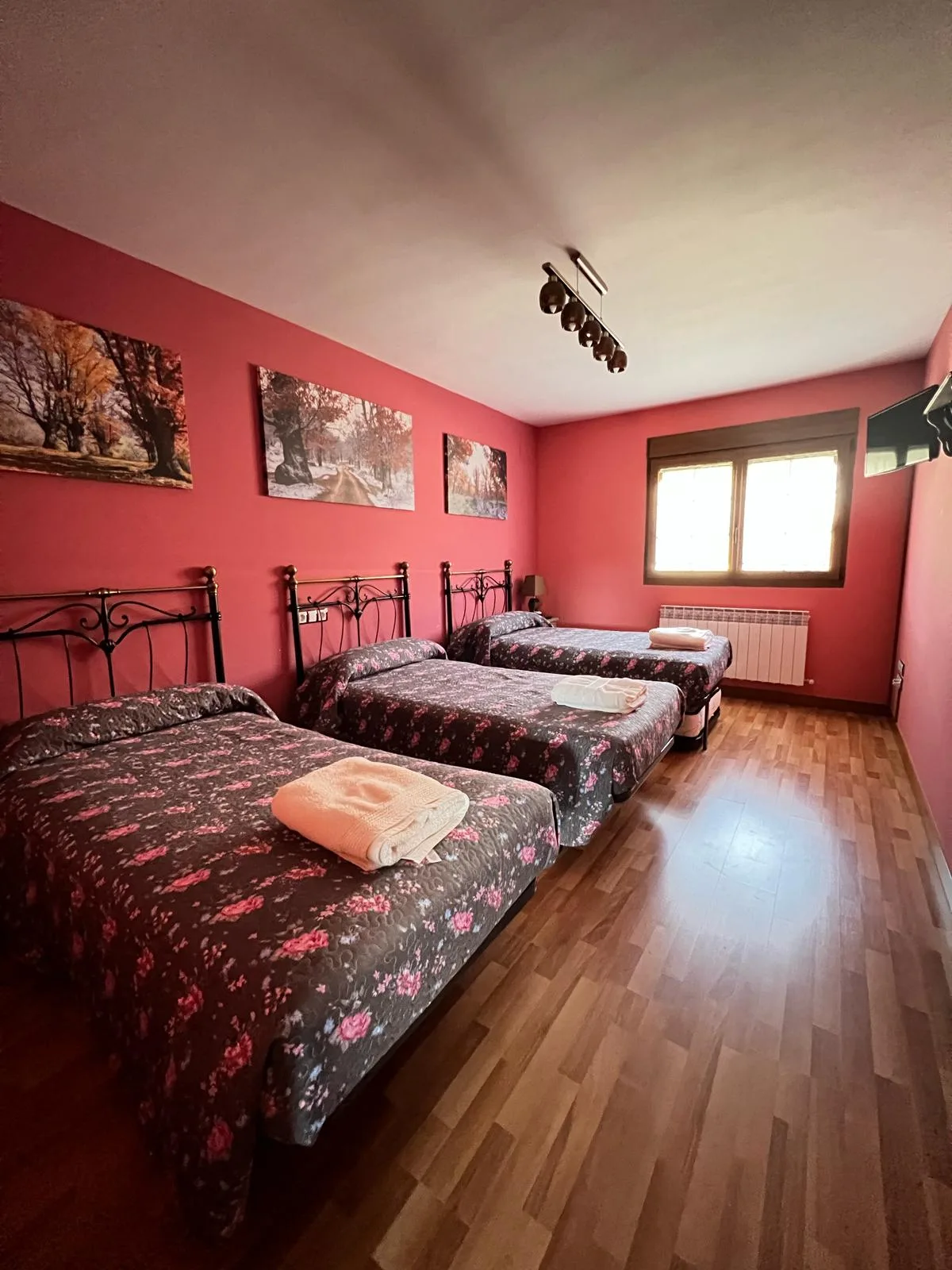 CASA RURAL EL ARROYAL photo 2