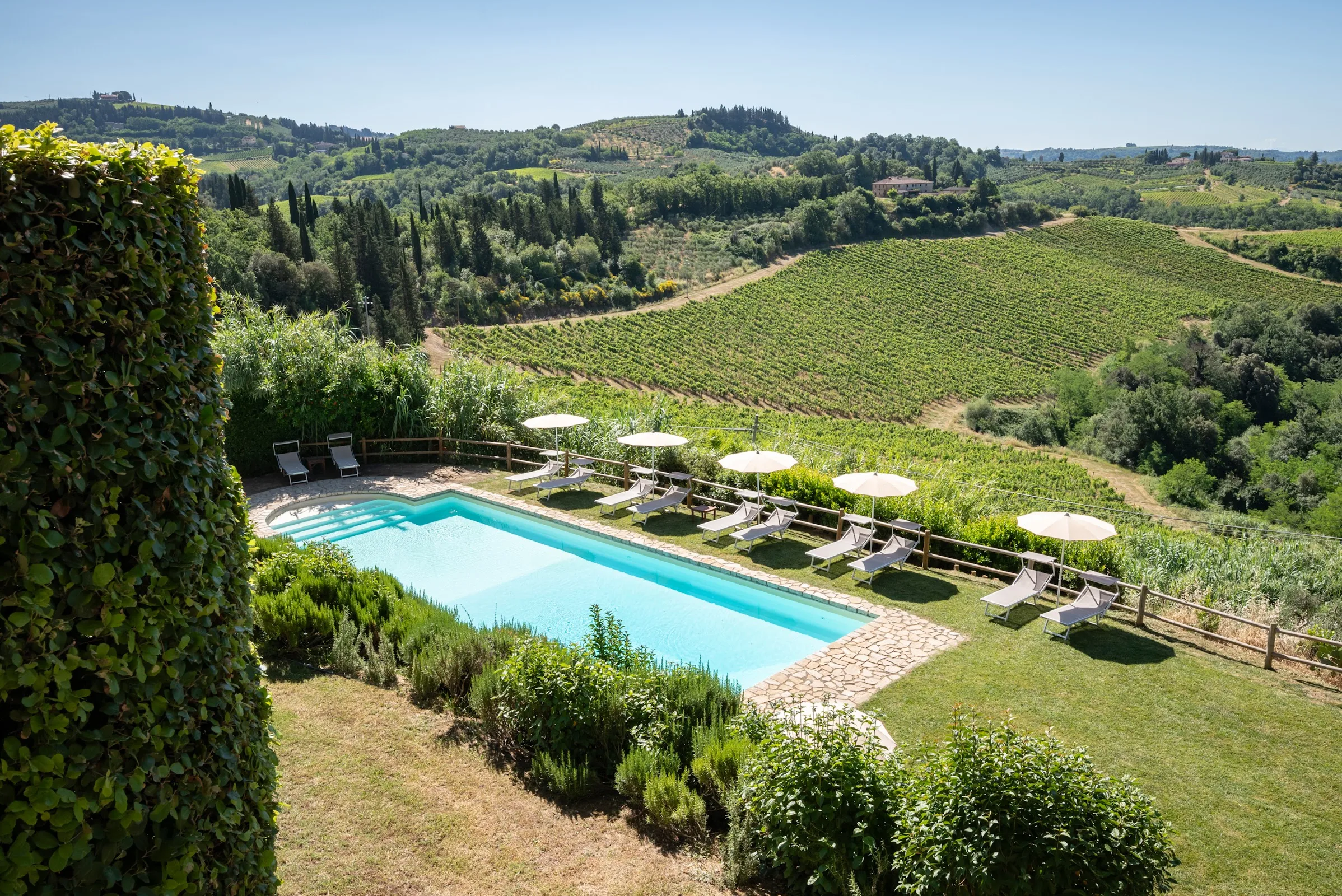 Fattoria il Bacio photo 5